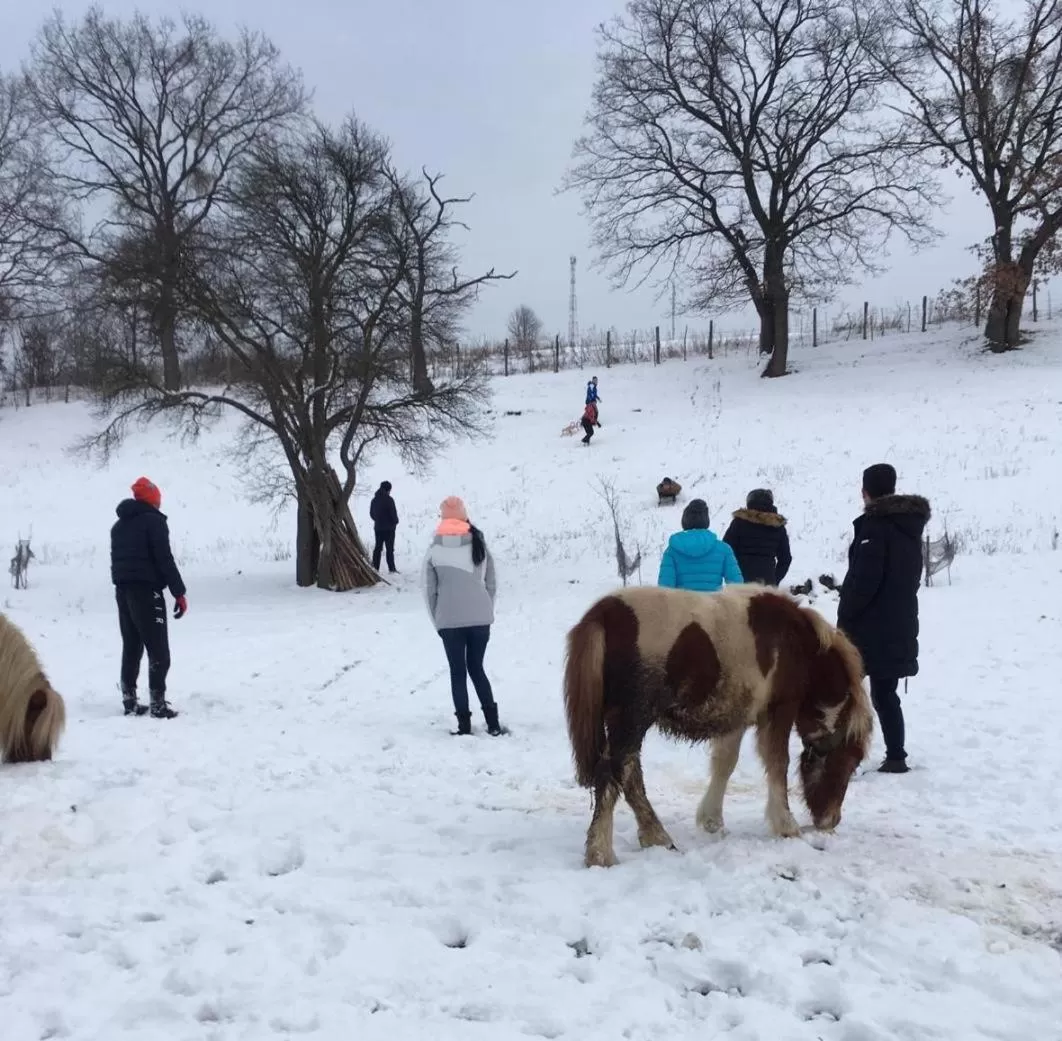 Day in Pensiunea SilvAnka