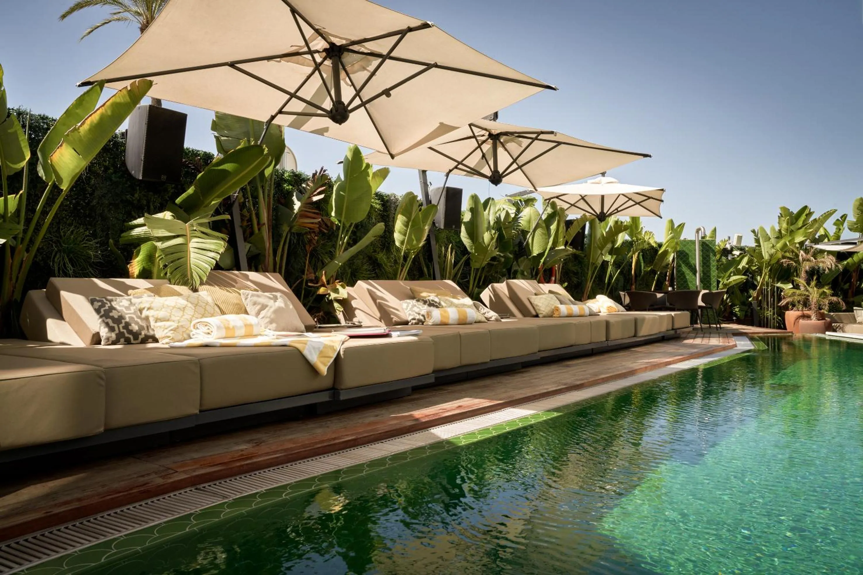 Swimming pool in NH Collection Ibiza