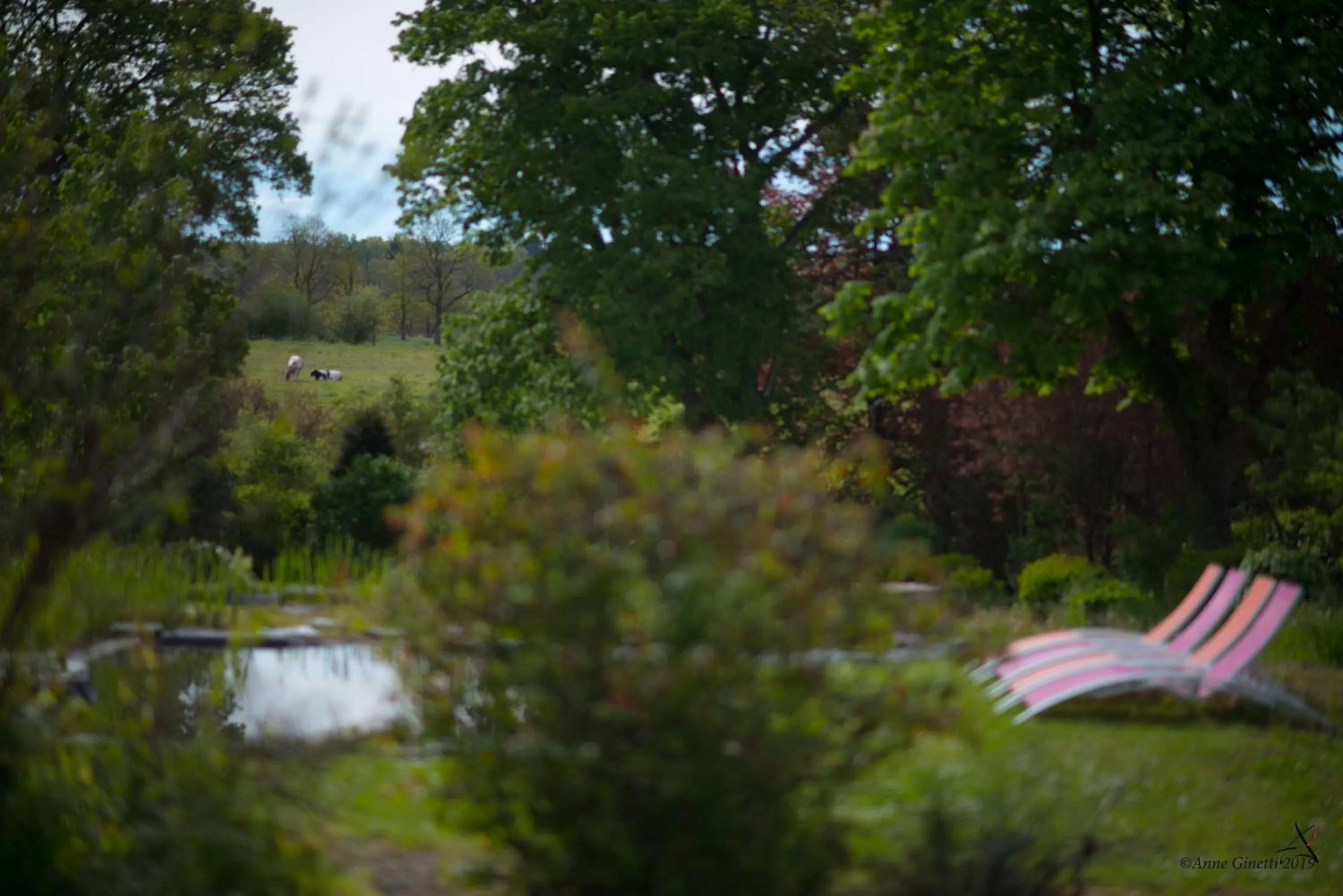 Garden in Les Chambres du Vivier, chambres d'hôtes et gîte - à 100m -