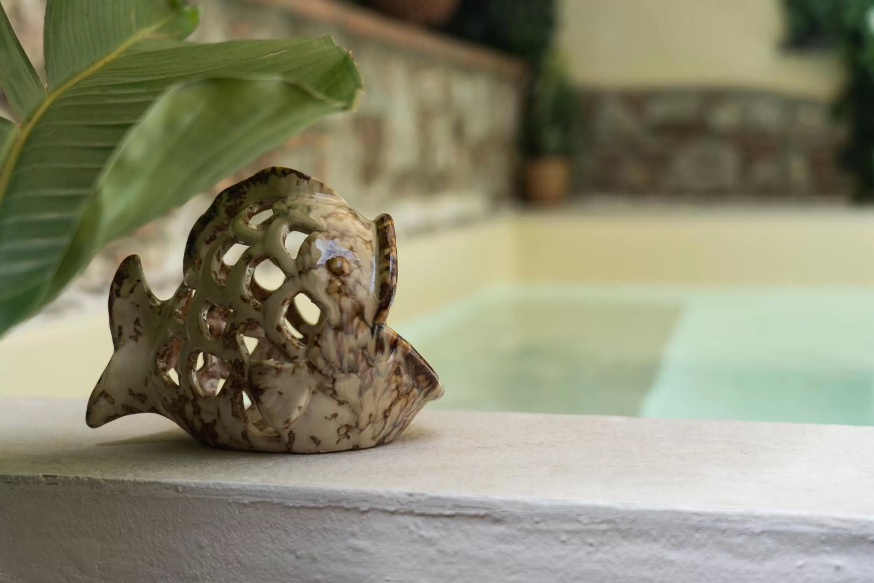 Garden in Portosalvo Rooms