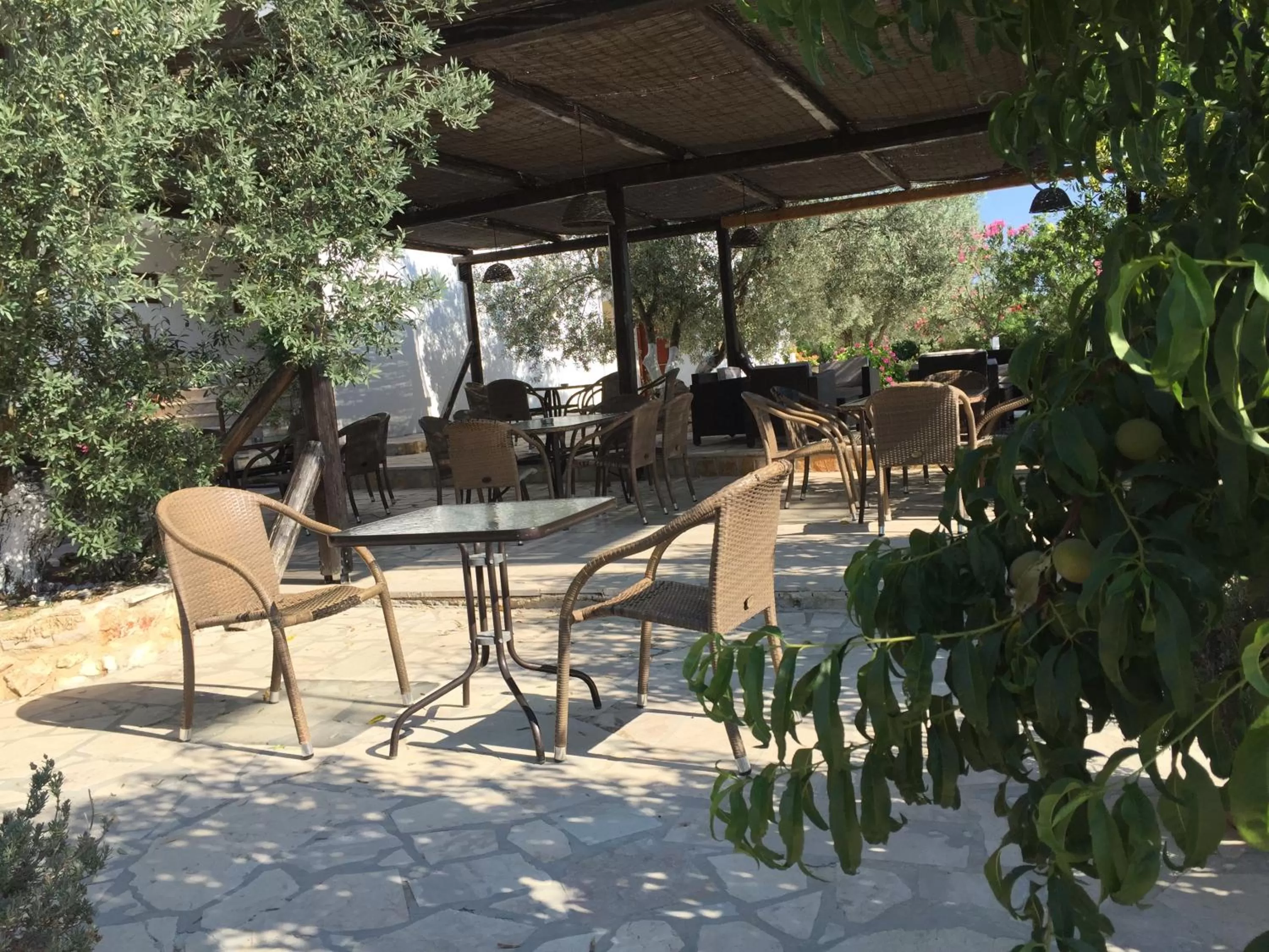 Restaurant/places to eat in Hani Inn