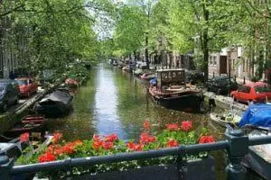 On site in Jordaan Suite bed and bubbles