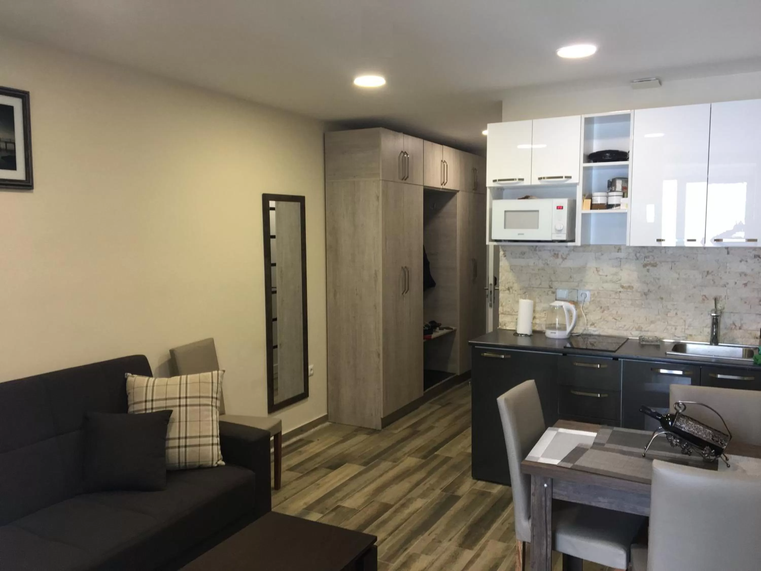 Living room, Kitchen/Kitchenette in New Gudauri Loft 2