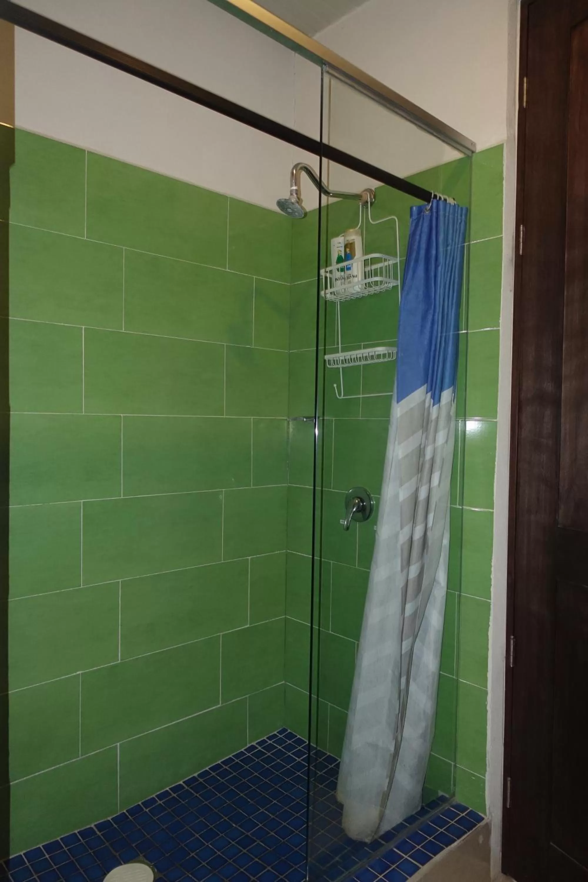 Shower in Terra Vista
