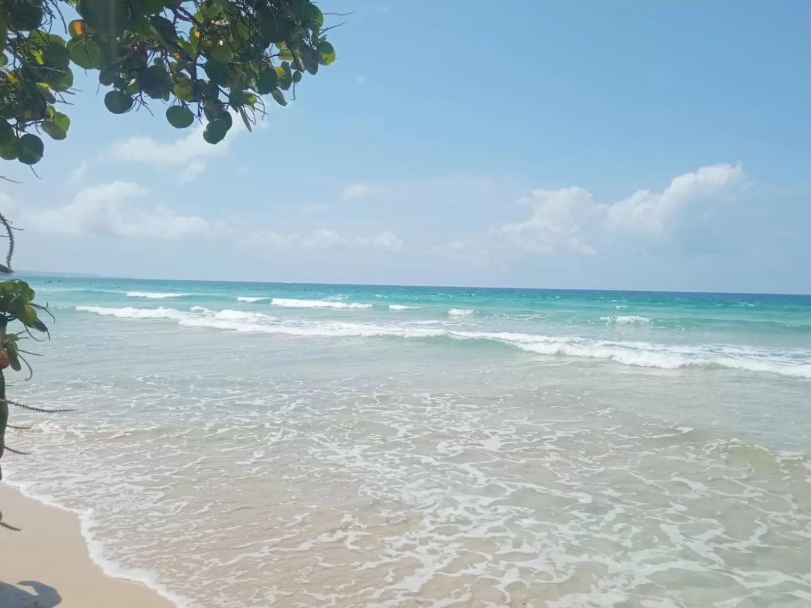 Beach in La Luciernaga Big Creek