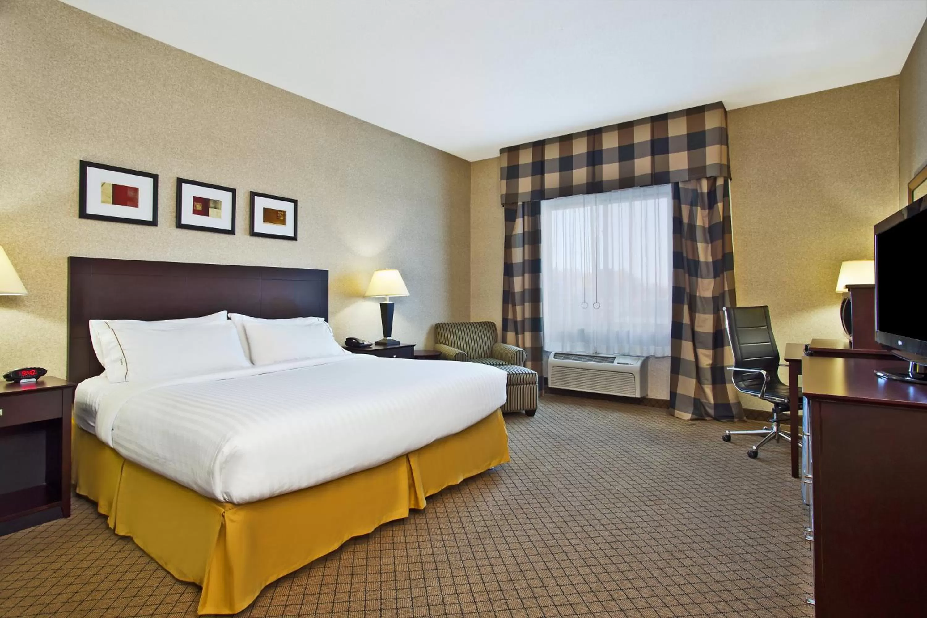 Photo of the whole room, Bed in Holiday Inn Express Hotel & Suites Anderson by IHG