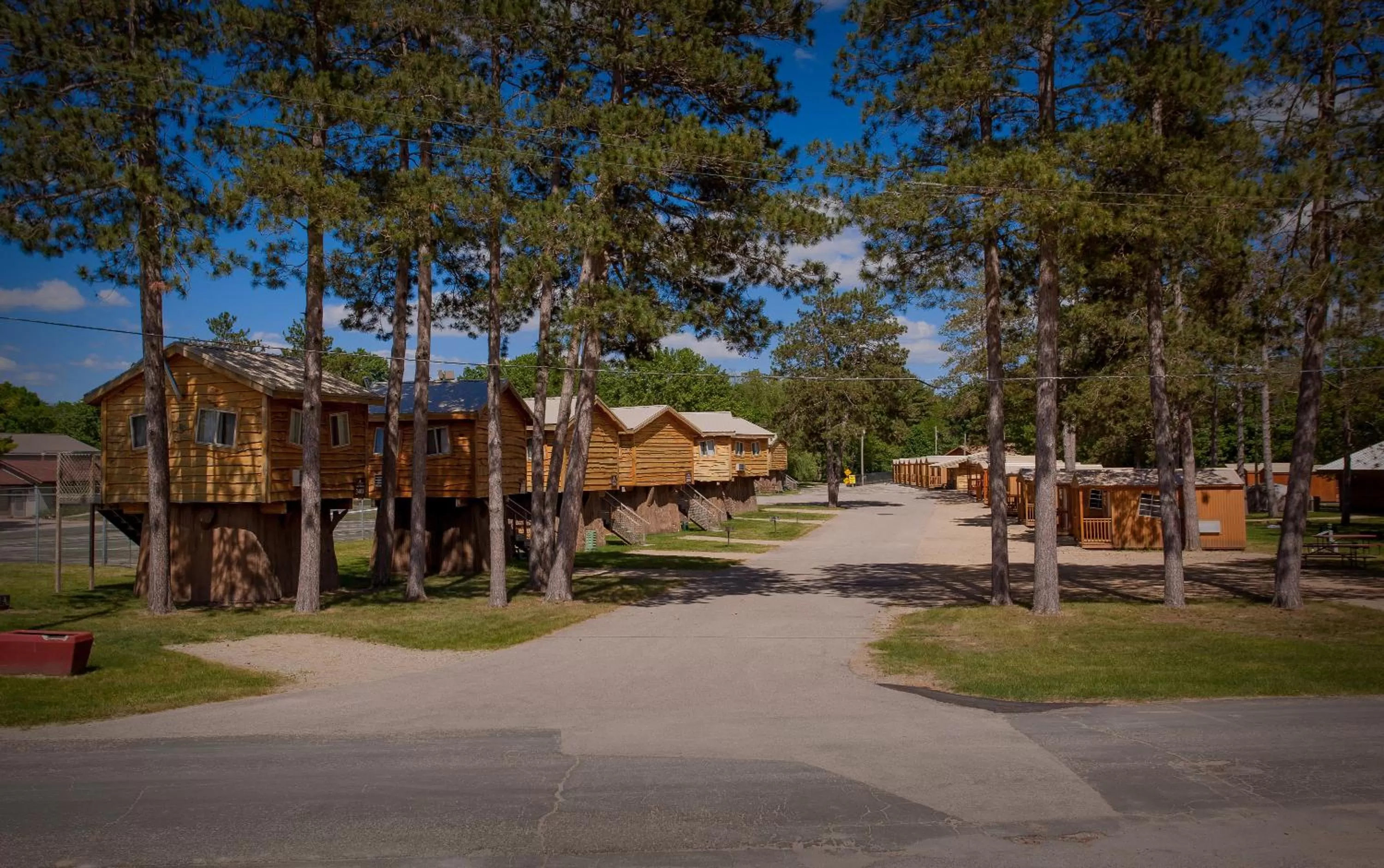 View (from property/room) in Natura Treescape Resort