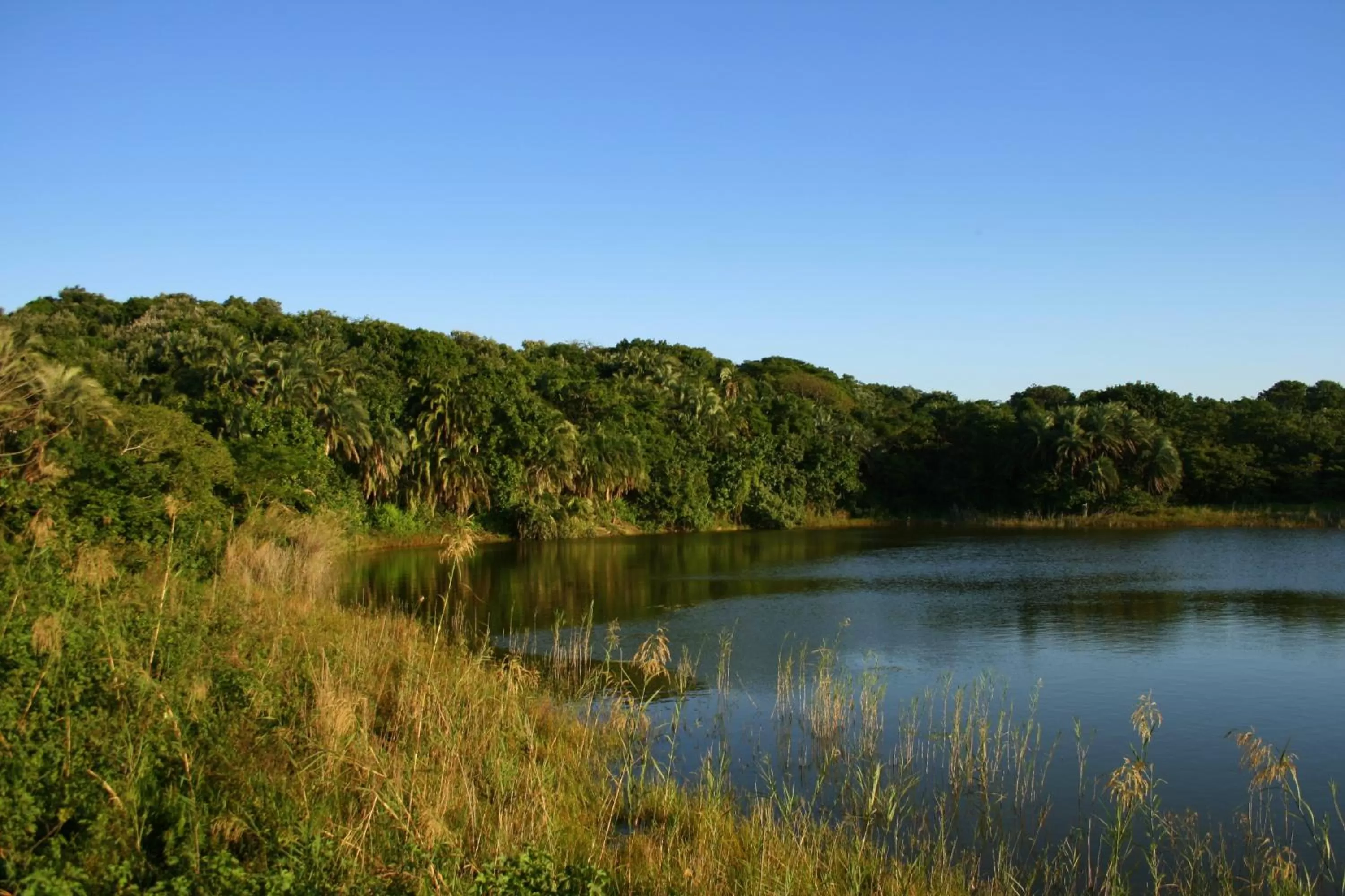 Bird's eye view, Natural Landscape in Imvubu Lodge