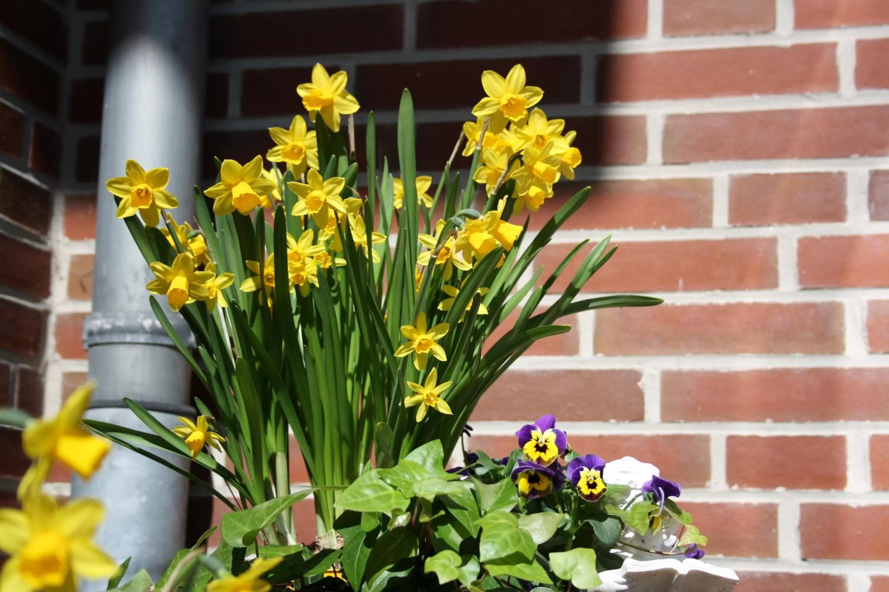 Decorative detail in Hotel Haus Hubertus
