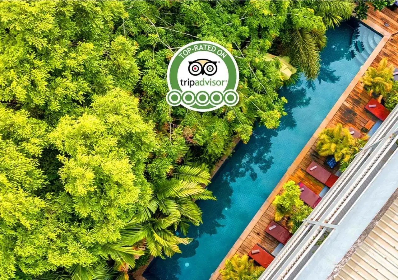 Swimming pool in Ladear Privilege Rooms Swimming pool in Ladear Privilege Rooms