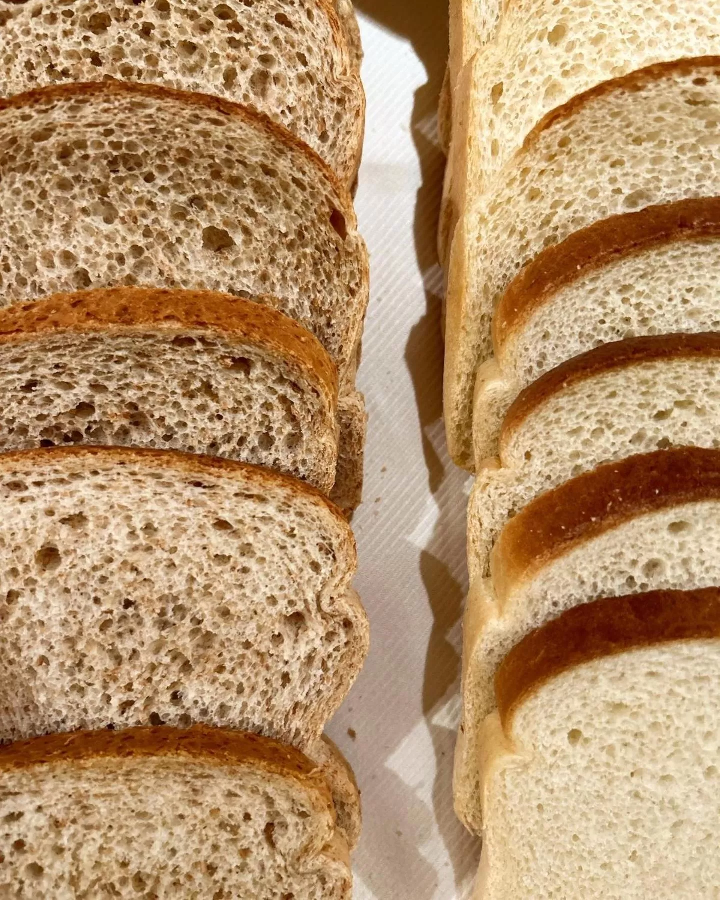 Food and drinks in Hotel Due Torri Tempesta