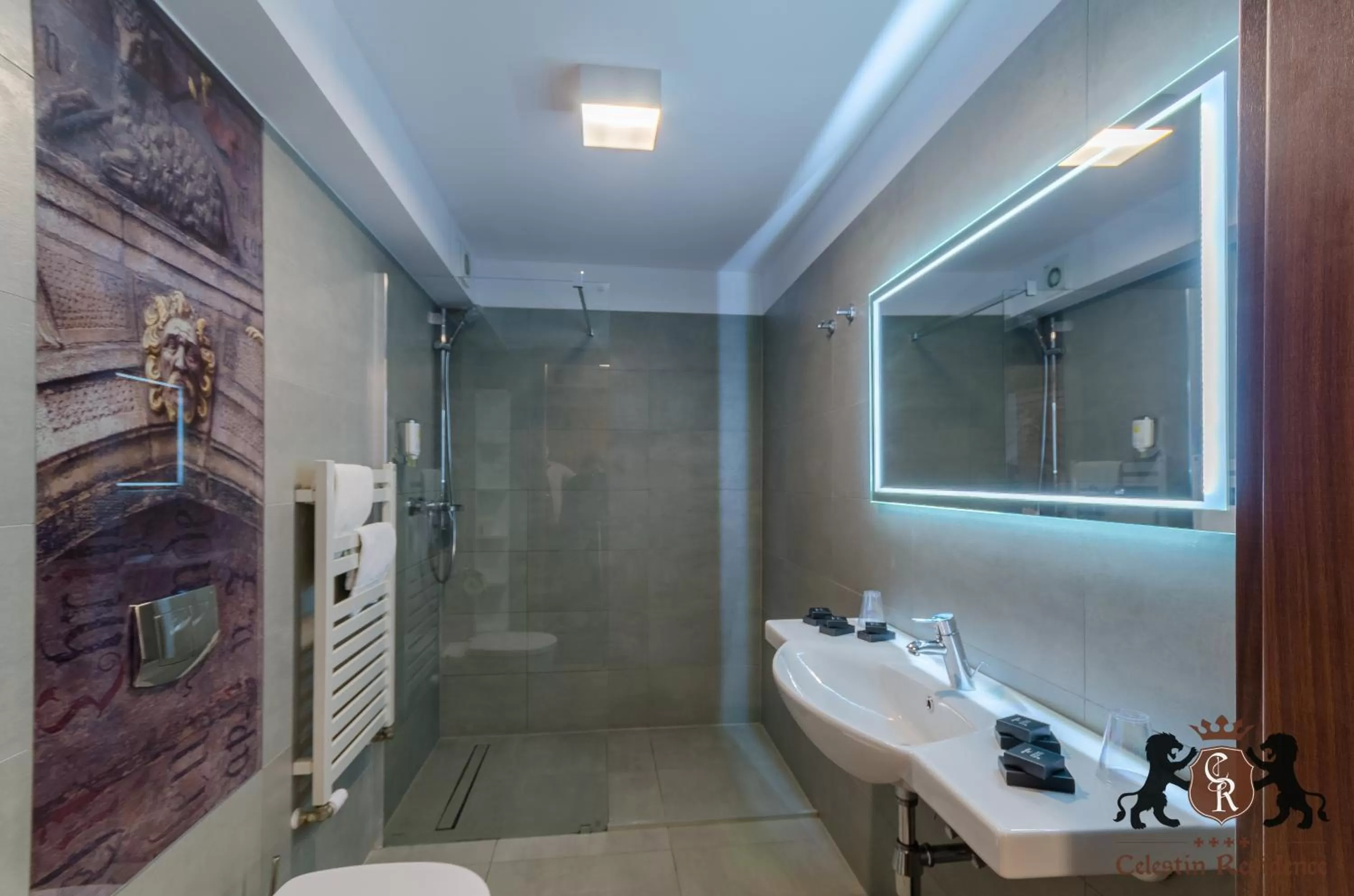 Photo of the whole room in Celestin Residence