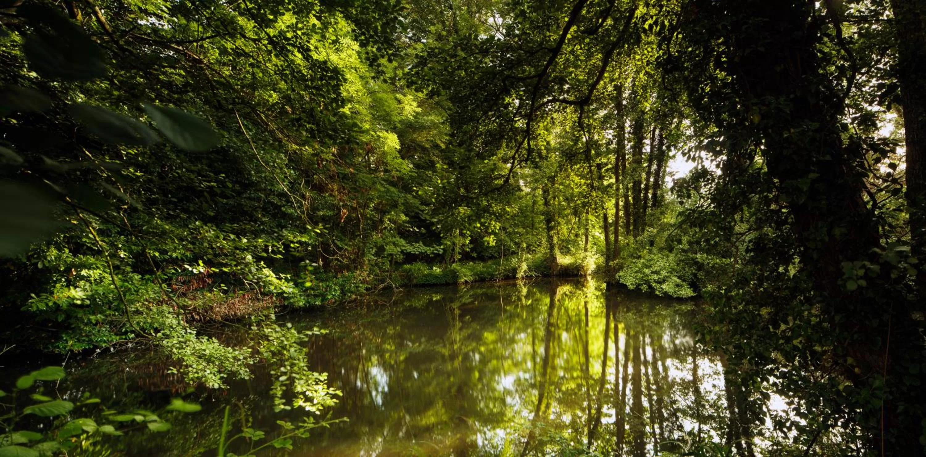 Garden view in Mercure Gloucester Bowden Hall Hotel