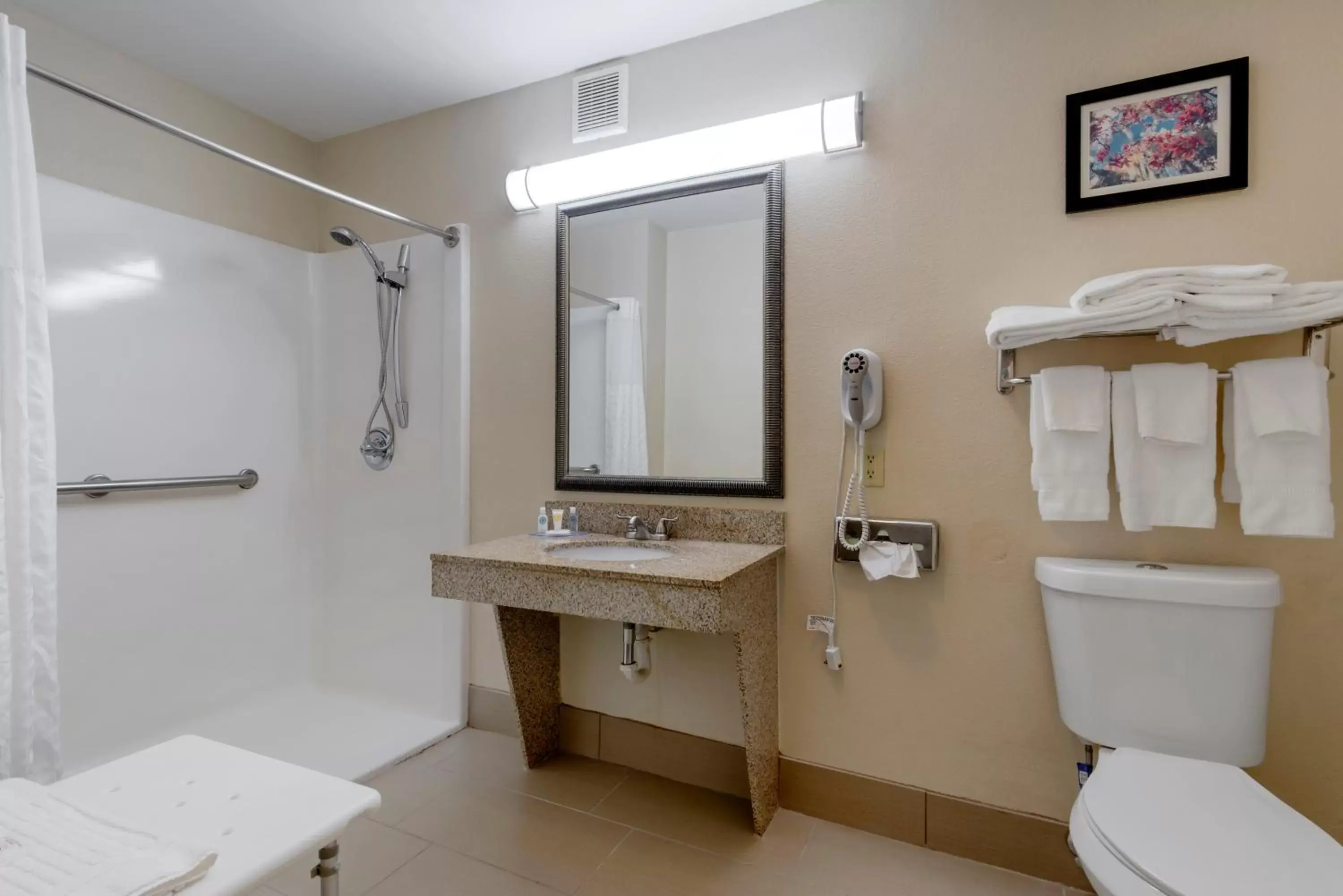 King Suite with Roll-In Shower - Accessible/Non-Smoking in Comfort Suites Columbus State University Area King Suite with Roll-In Shower - Accessible/Non-Smoking in Comfort Suites Columbus State University Area