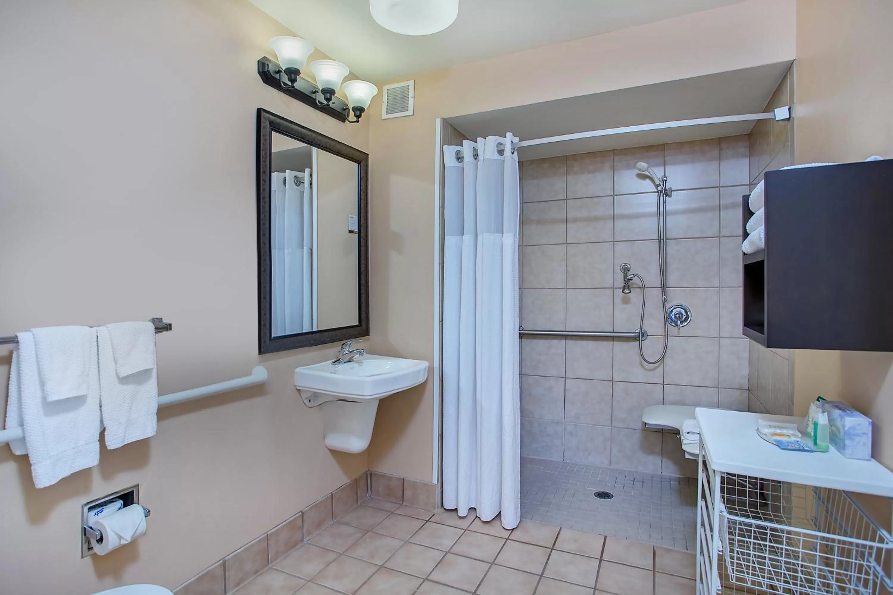 Queen Room - Disability Access Roll in Shower in Staybridge Suites Chattanooga Downtown - Convention Center, an IHG Hotel
