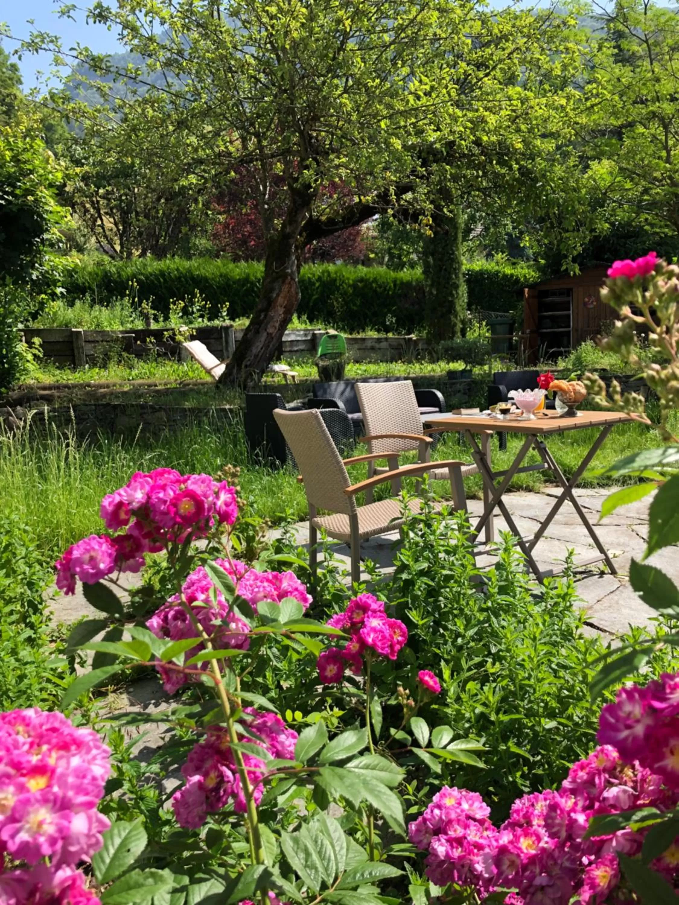 Patio, Garden in La Maison des Copains
