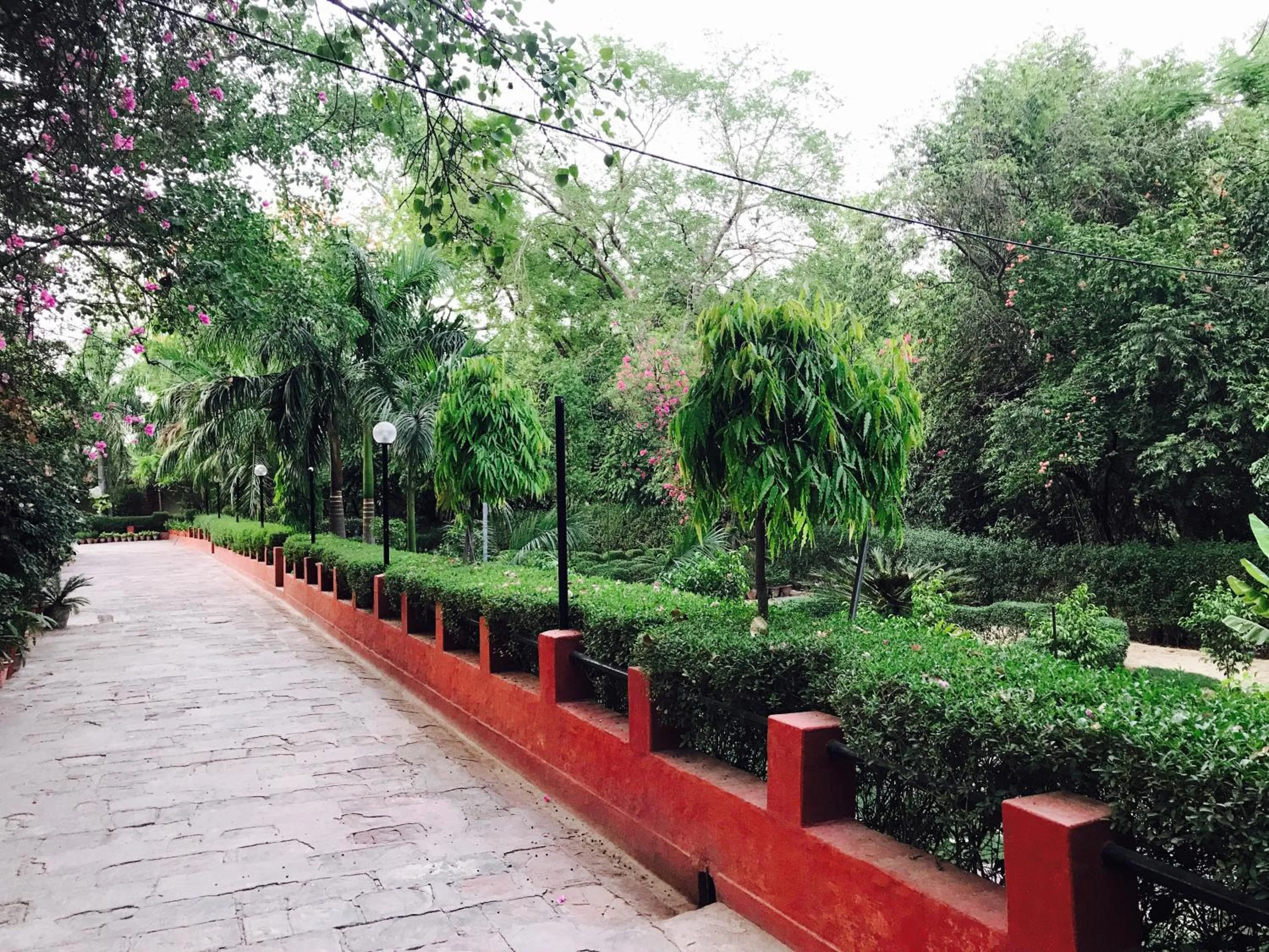 Garden in Hotel Sheela, 100m from Taj Mahal