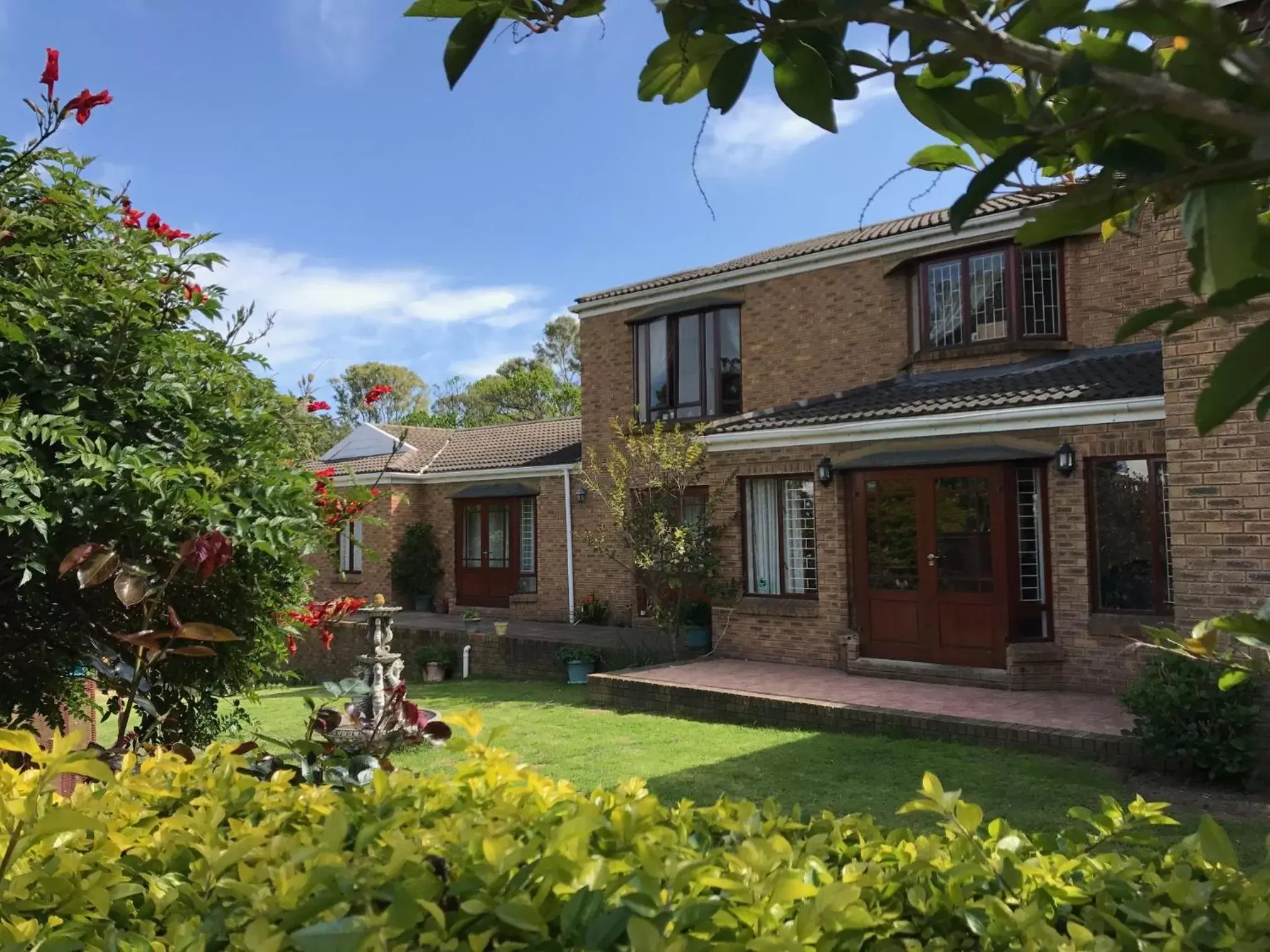 Blue Fern of Knysna Blue Fern of Knysna