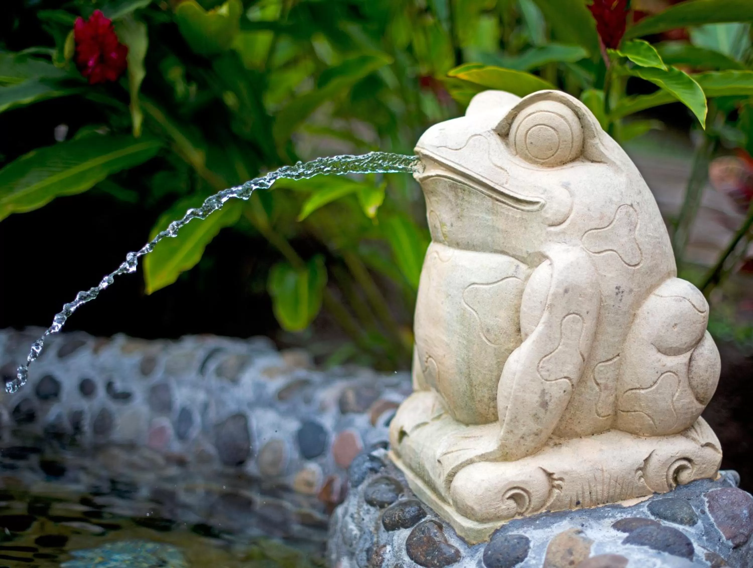 Decorative detail in Nayara Springs - Adults Only