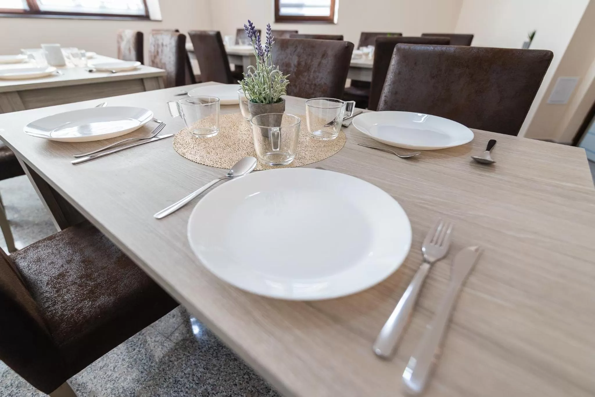 Pensiunea Select Central