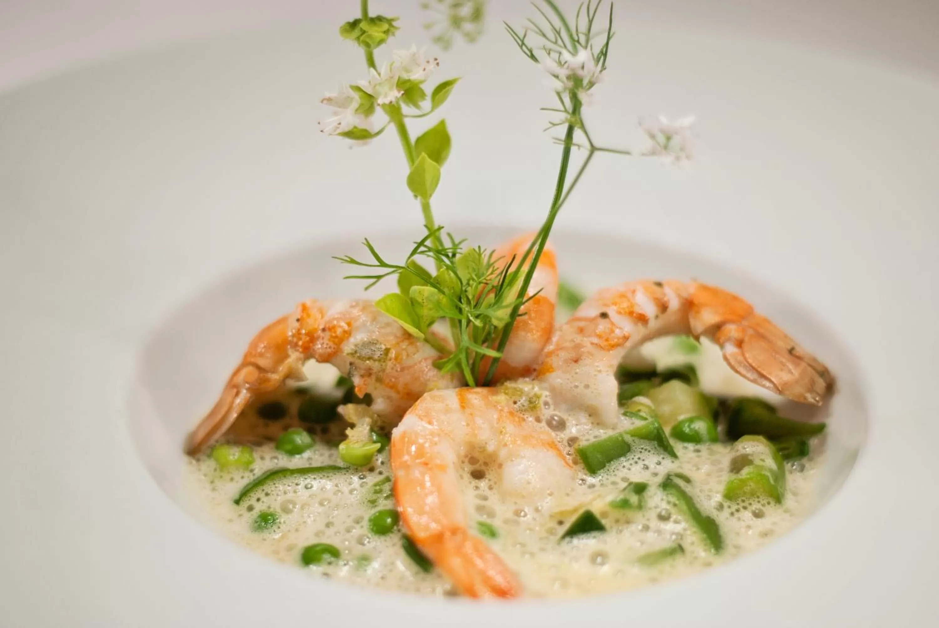 Food close-up in Hôtel Restaurant & Spa Plaisir