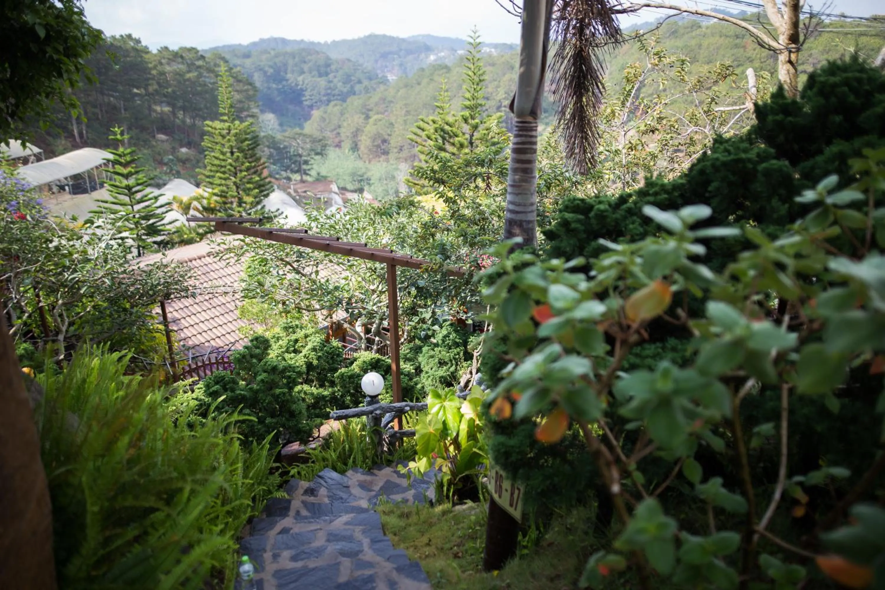 Natural landscape in Zen Valley Dalat