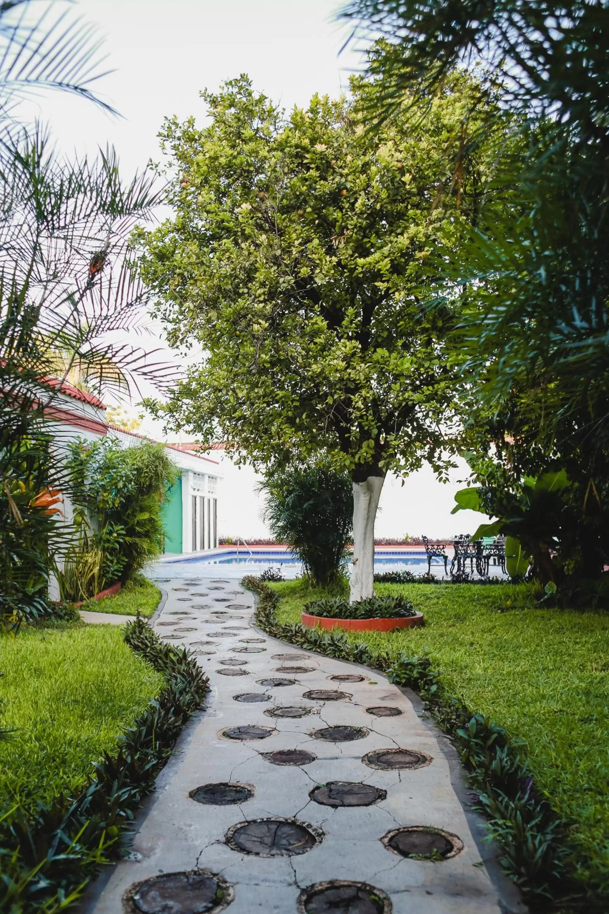 Garden in Hotel Colon Merida