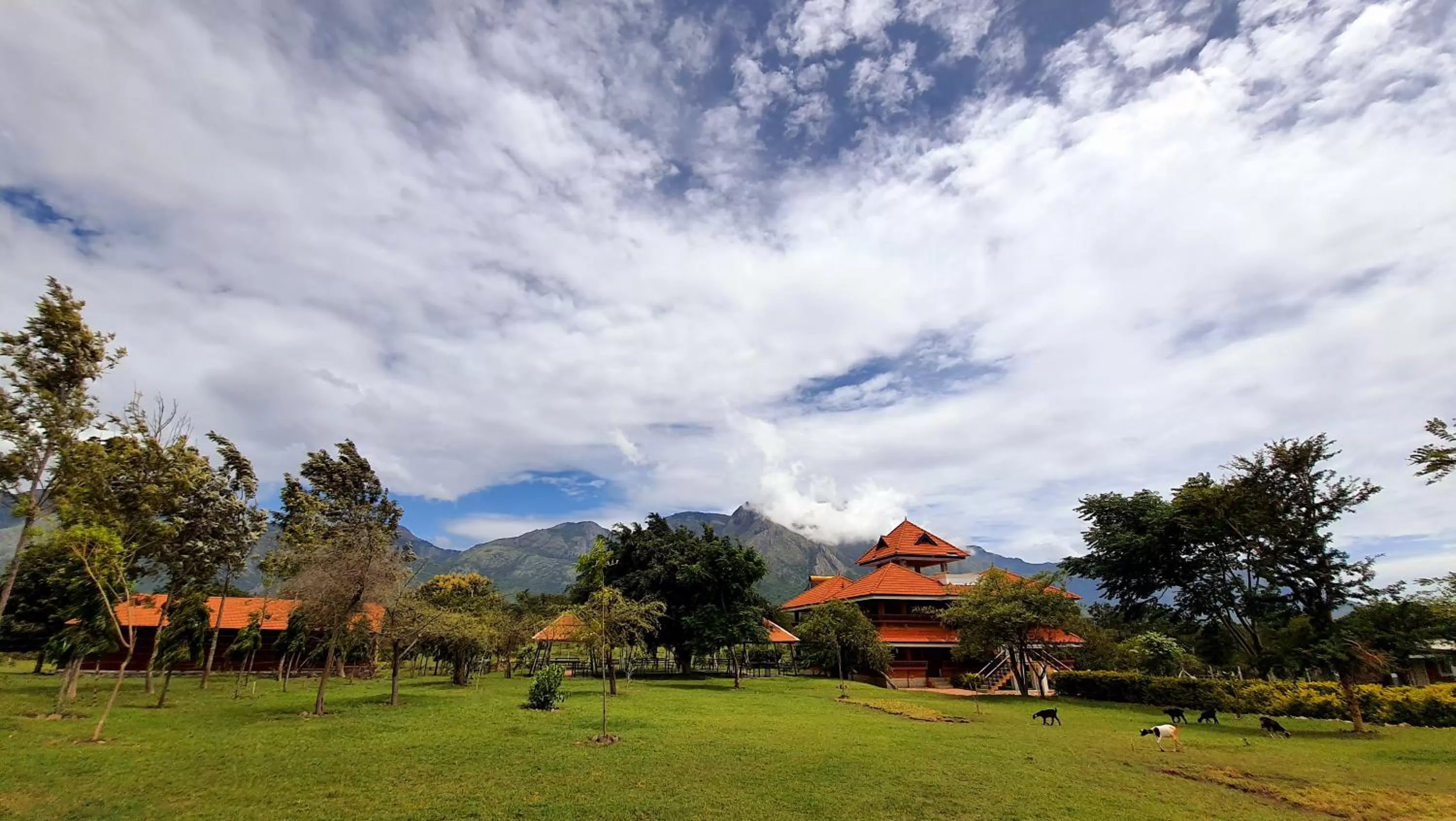 Activities in Avadale Masinagudi - Stag Groups Not Allowed