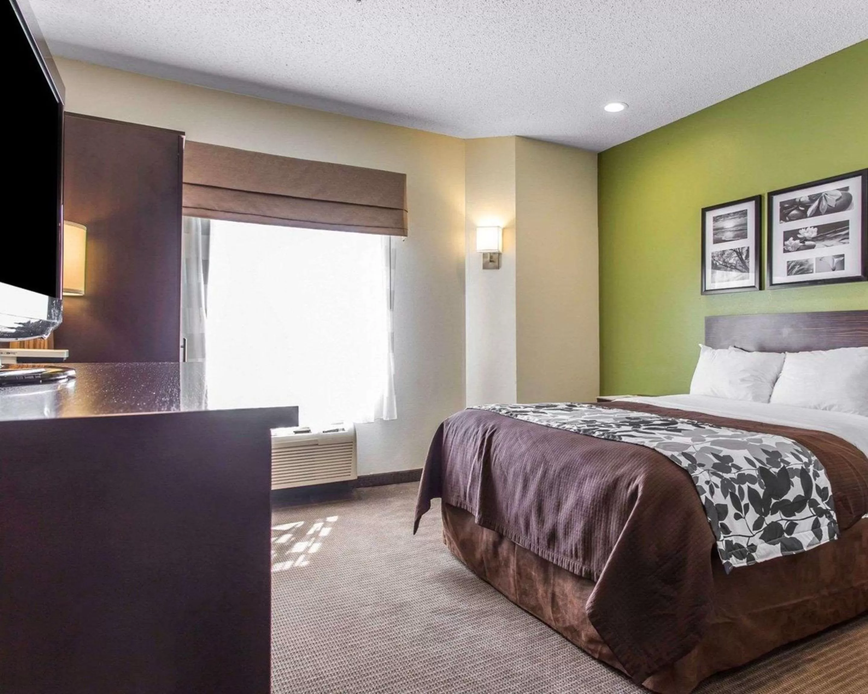 Photo of the whole room, Bed in Sleep Inn Columbia