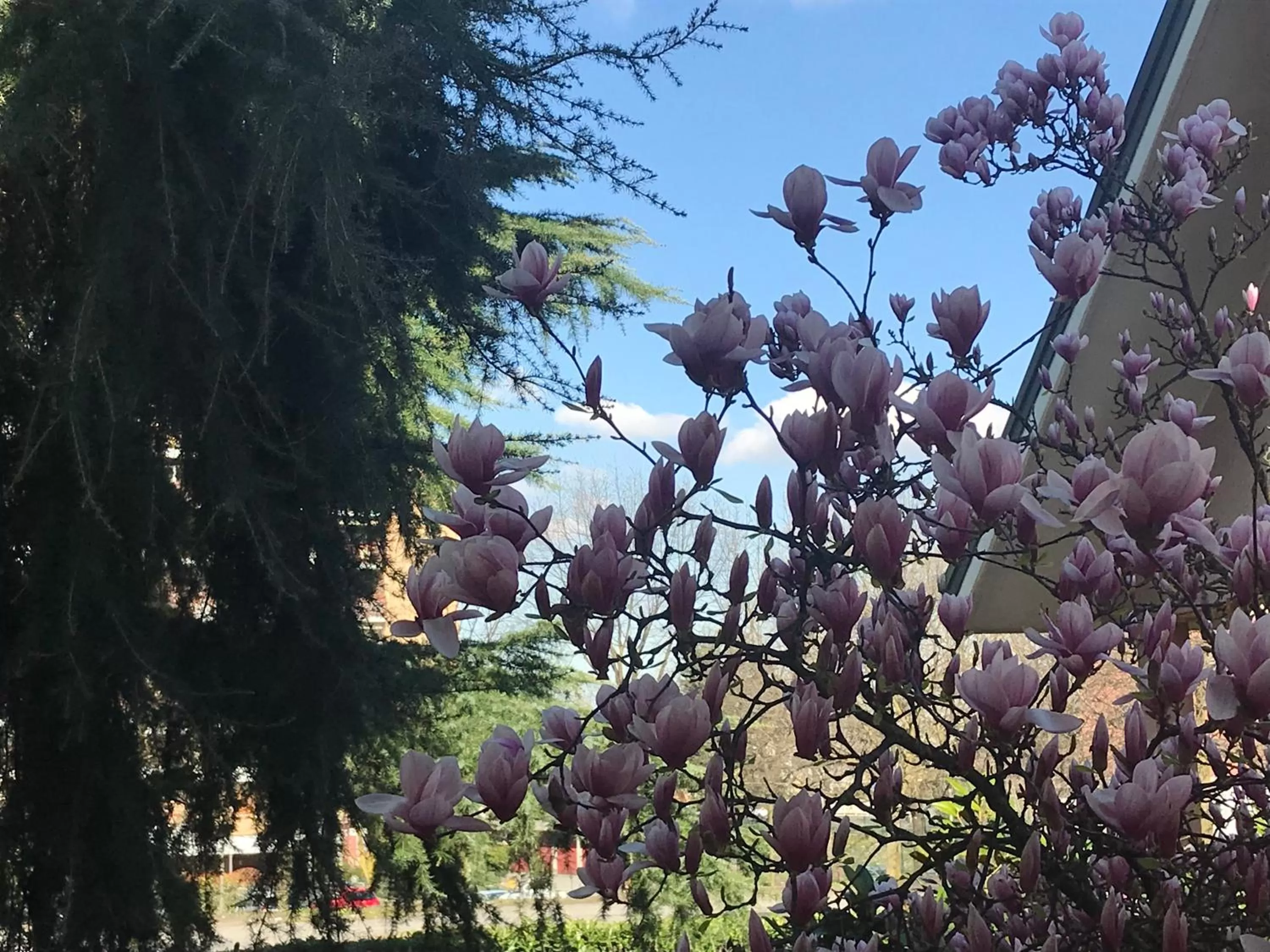 Natural landscape in B&B Borgo dei Fiori