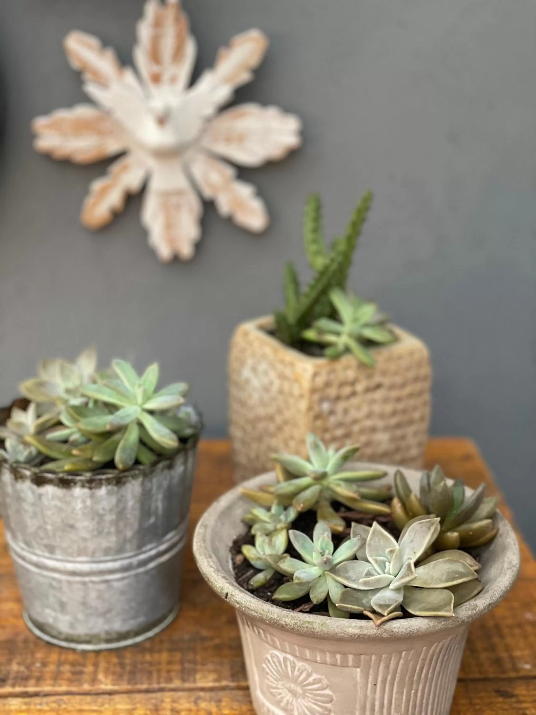 Decorative detail in Pousada Santarina