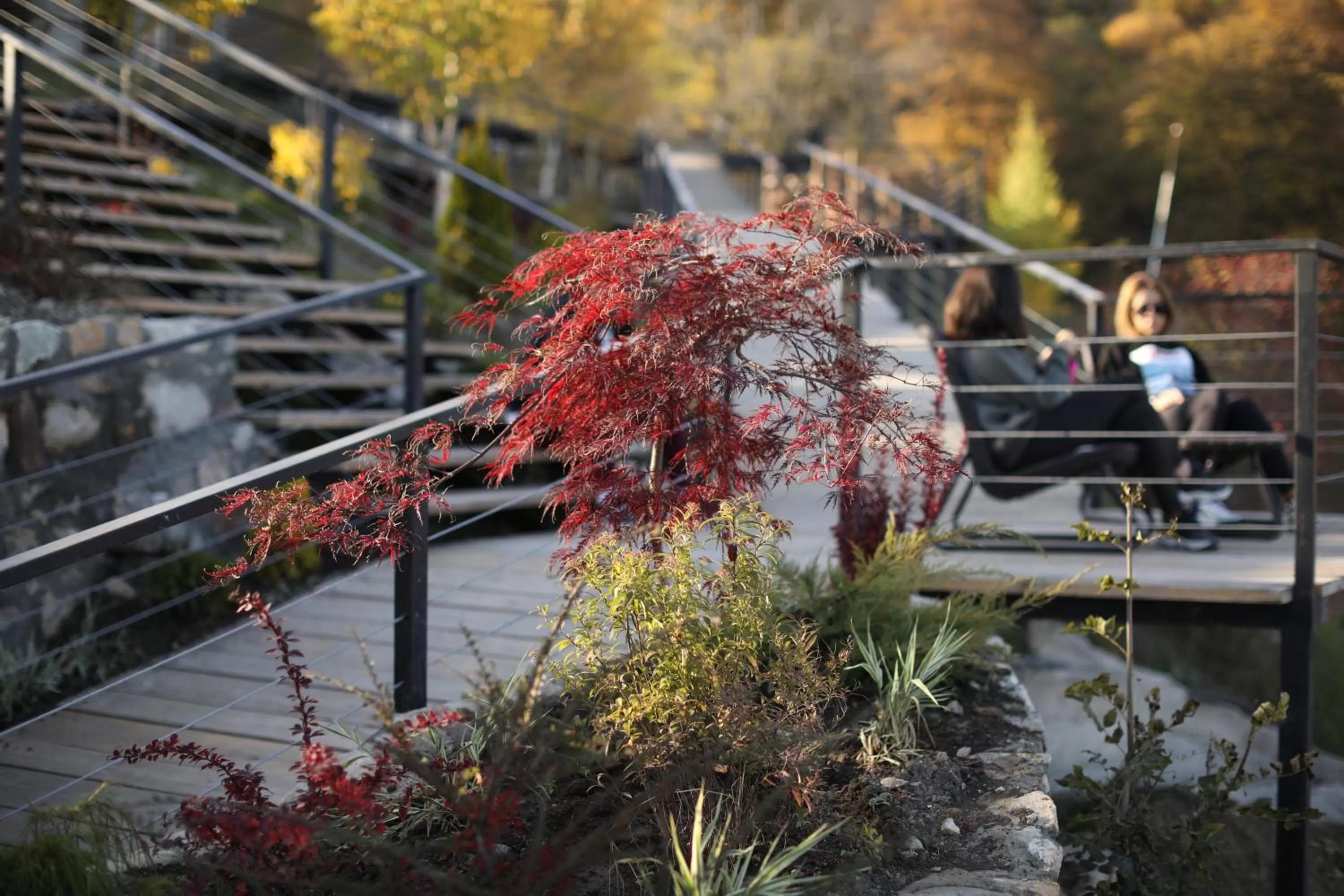 Garden in Apaga Resort