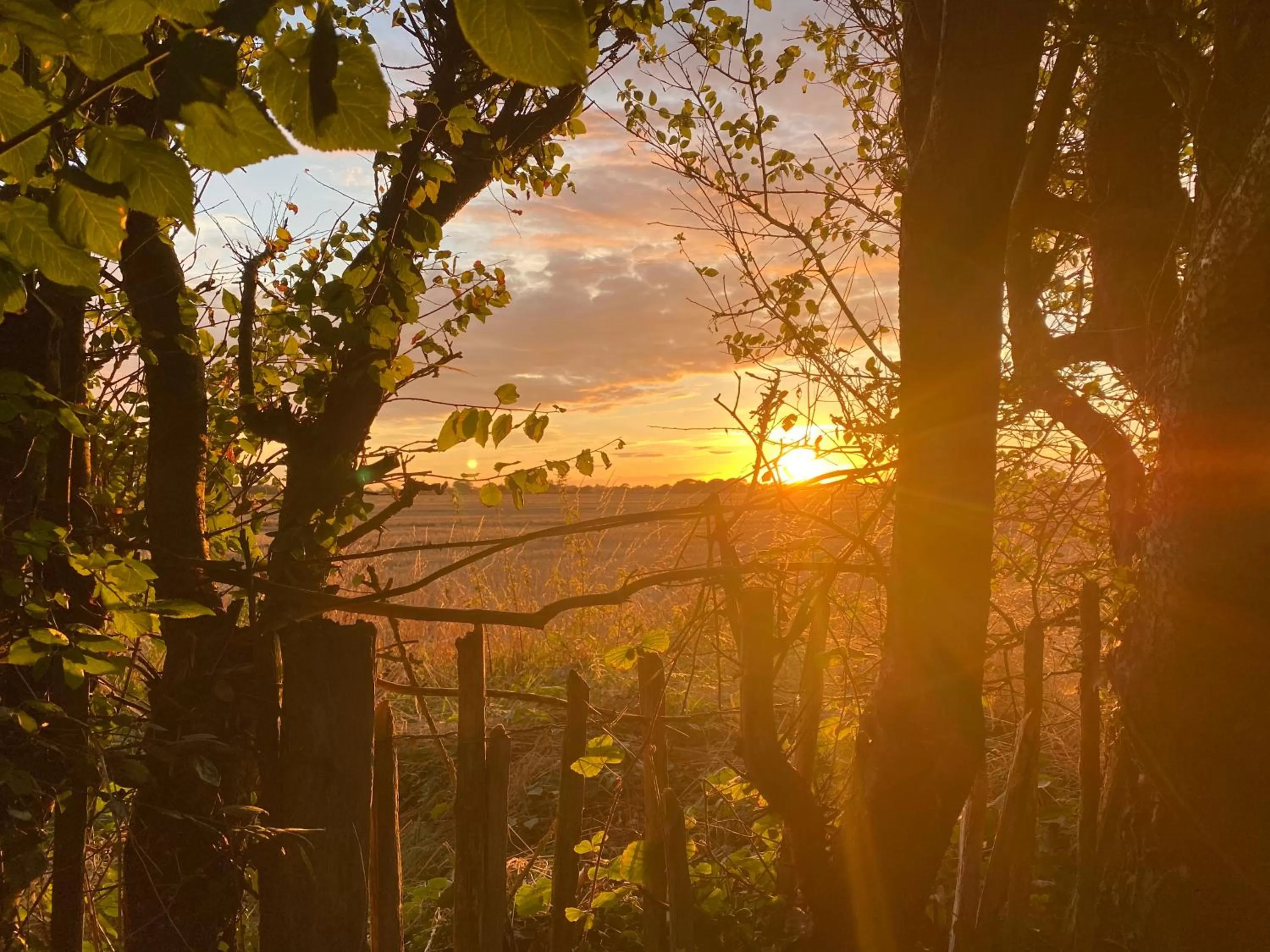 Sunset in Old Chapel Forge