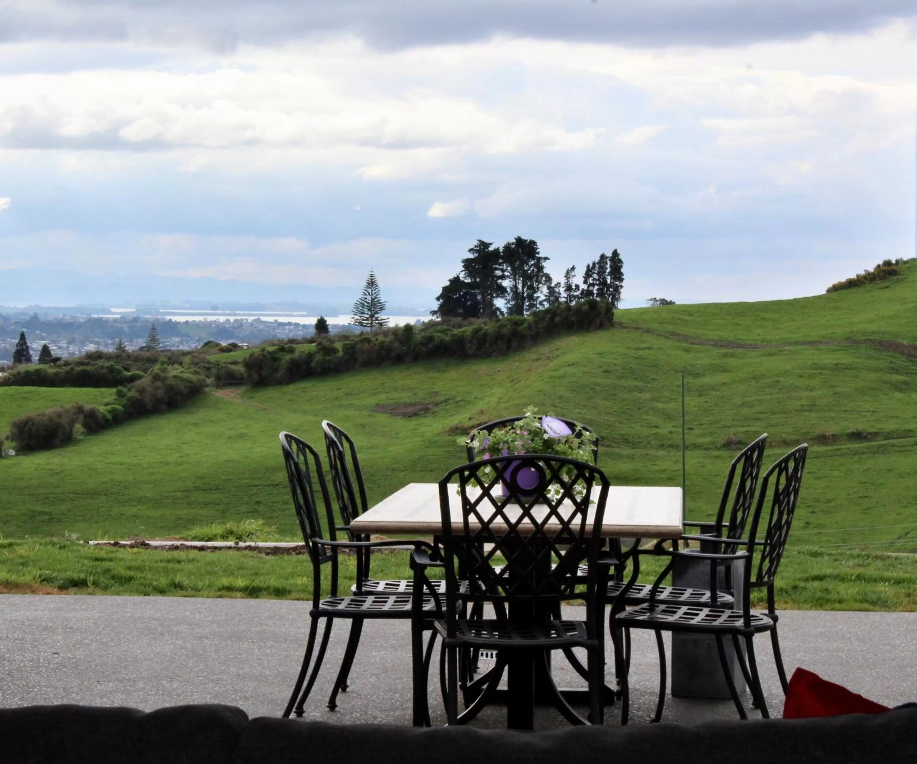 Natural landscape in Arohanui Rural Retreat B&B