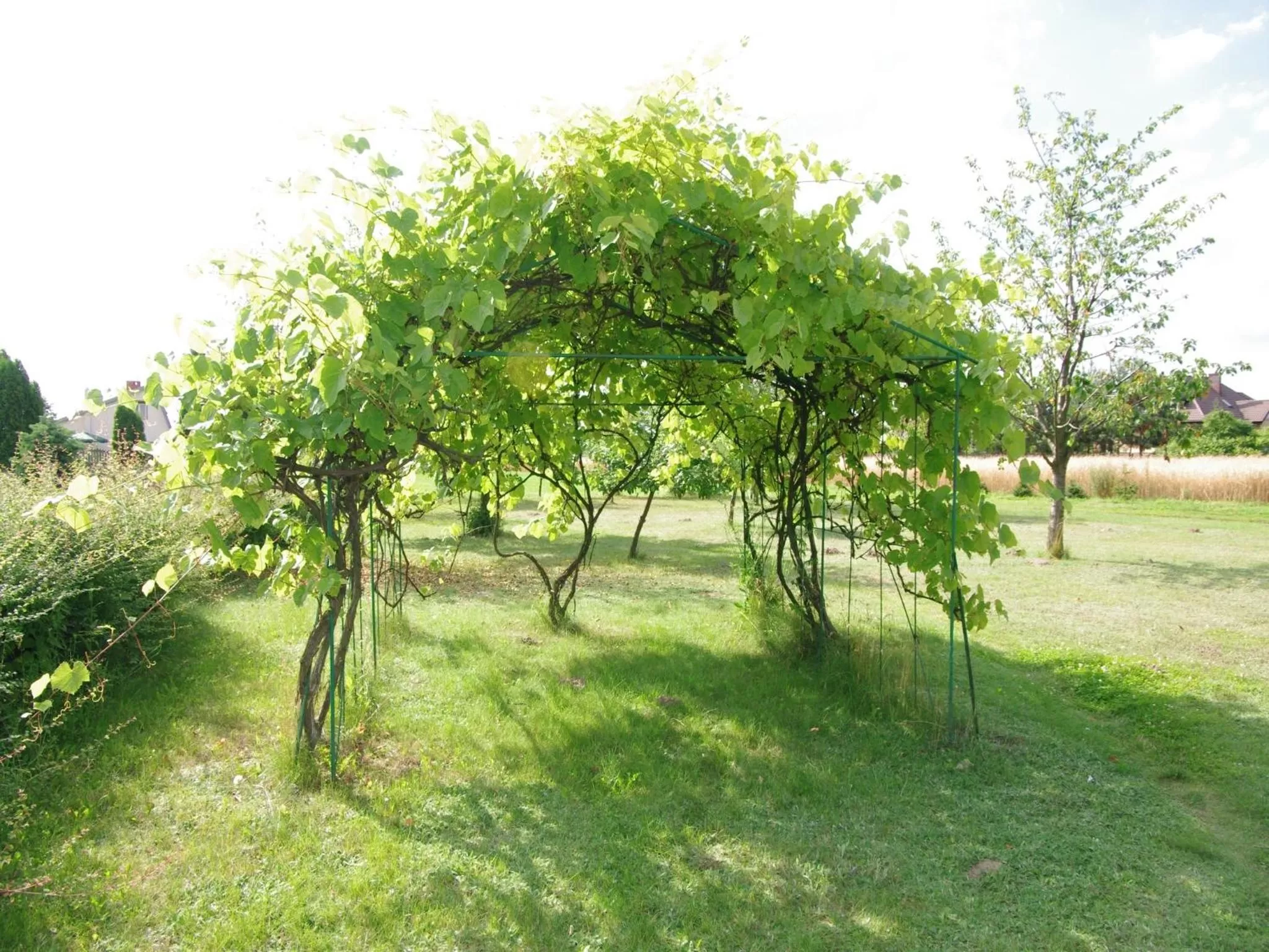 Garden in Pokoje Gościnne