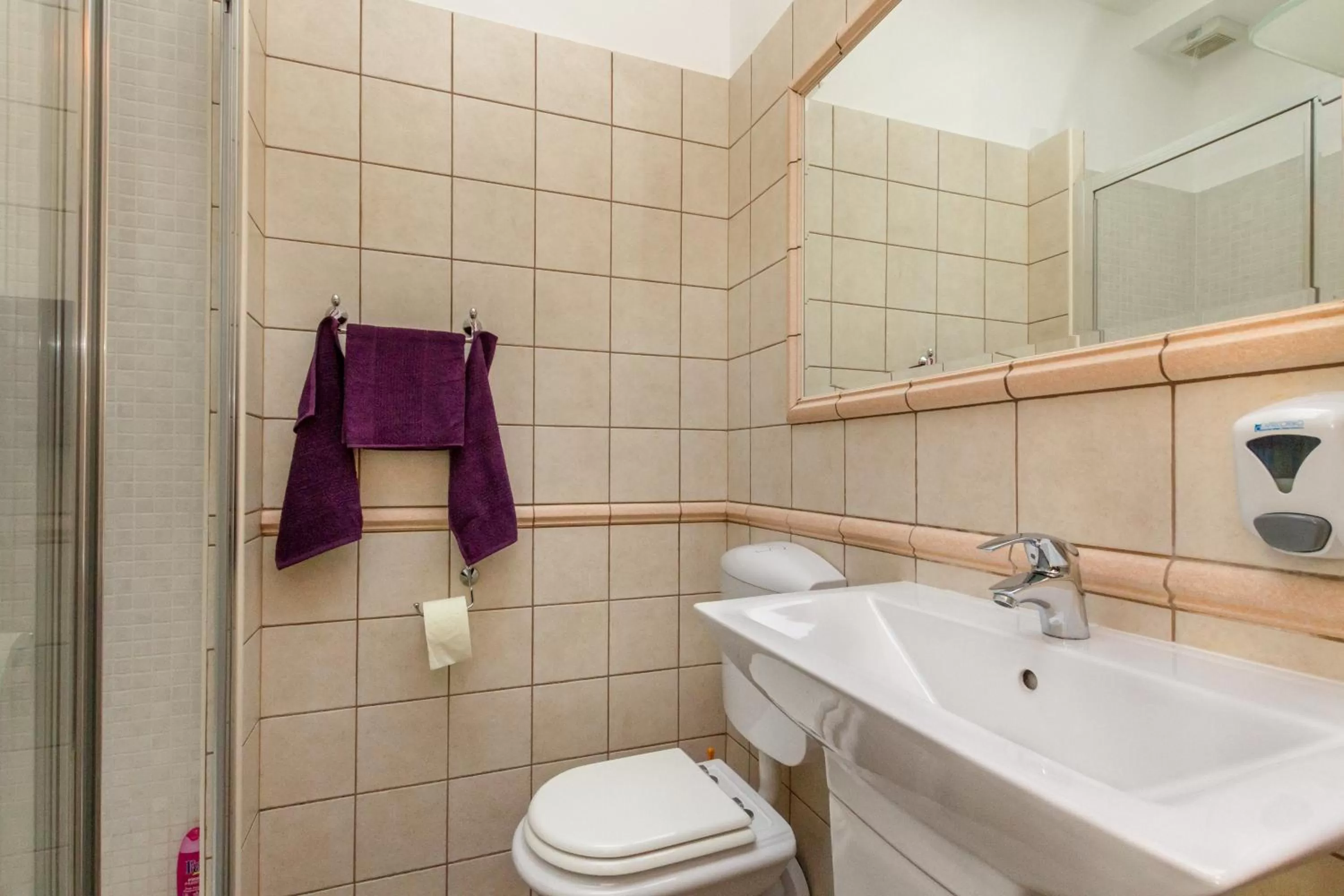 Bathroom in Apartments Aspalathos