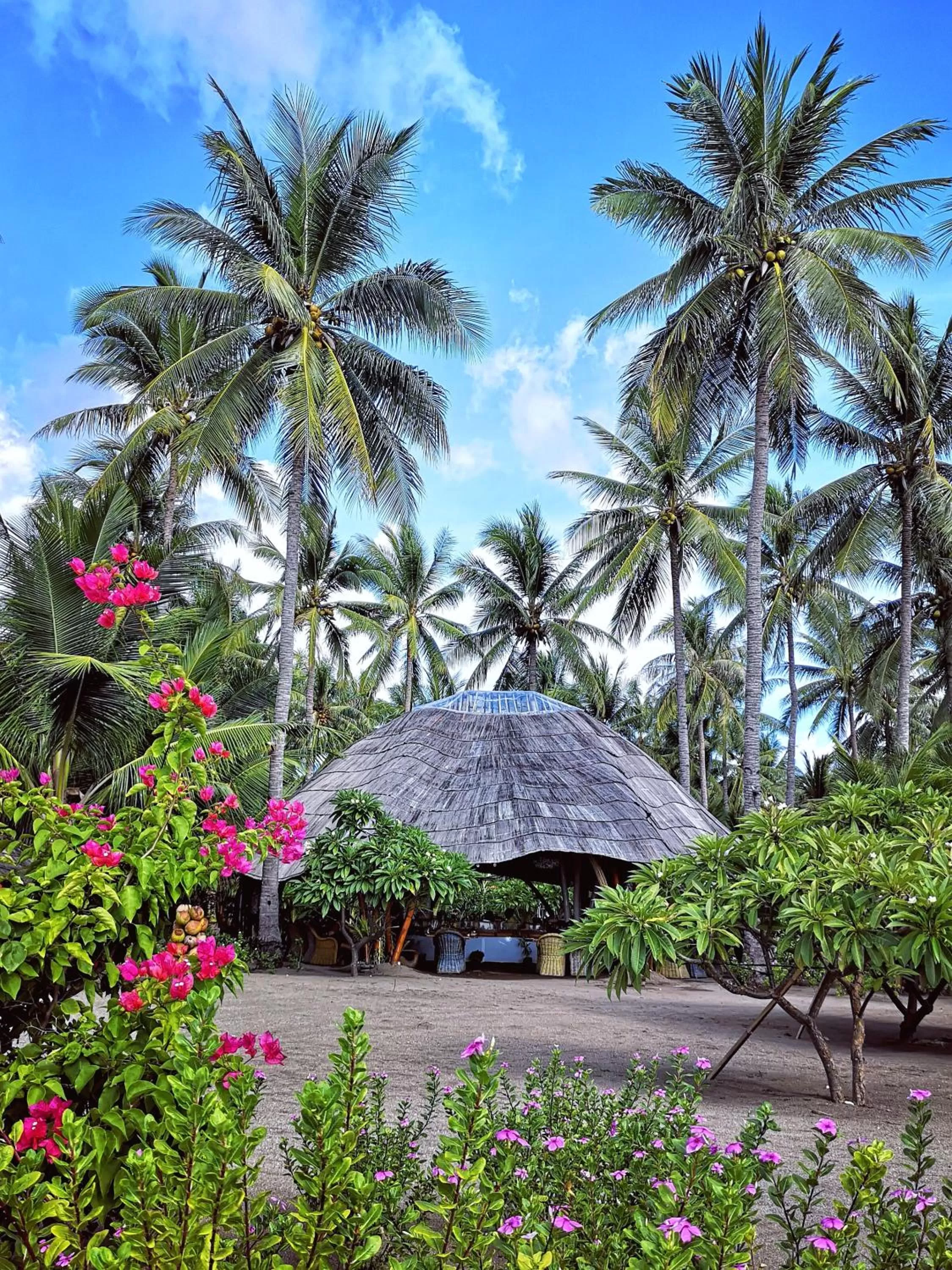 Restaurant/places to eat in Coconut Garden Beach Resort