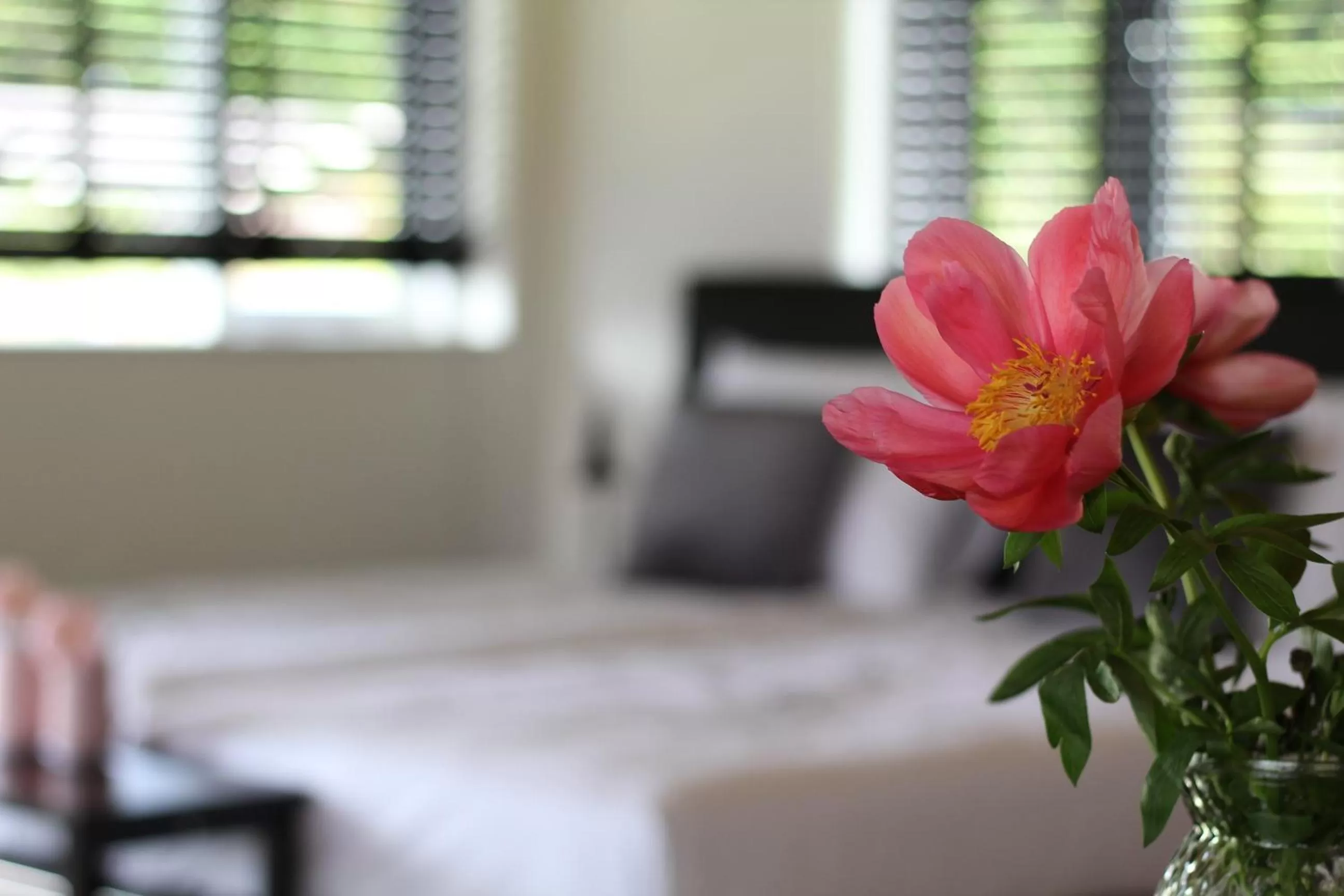 Bedroom, Bed in Bed & Breakfast Bij de Wilg