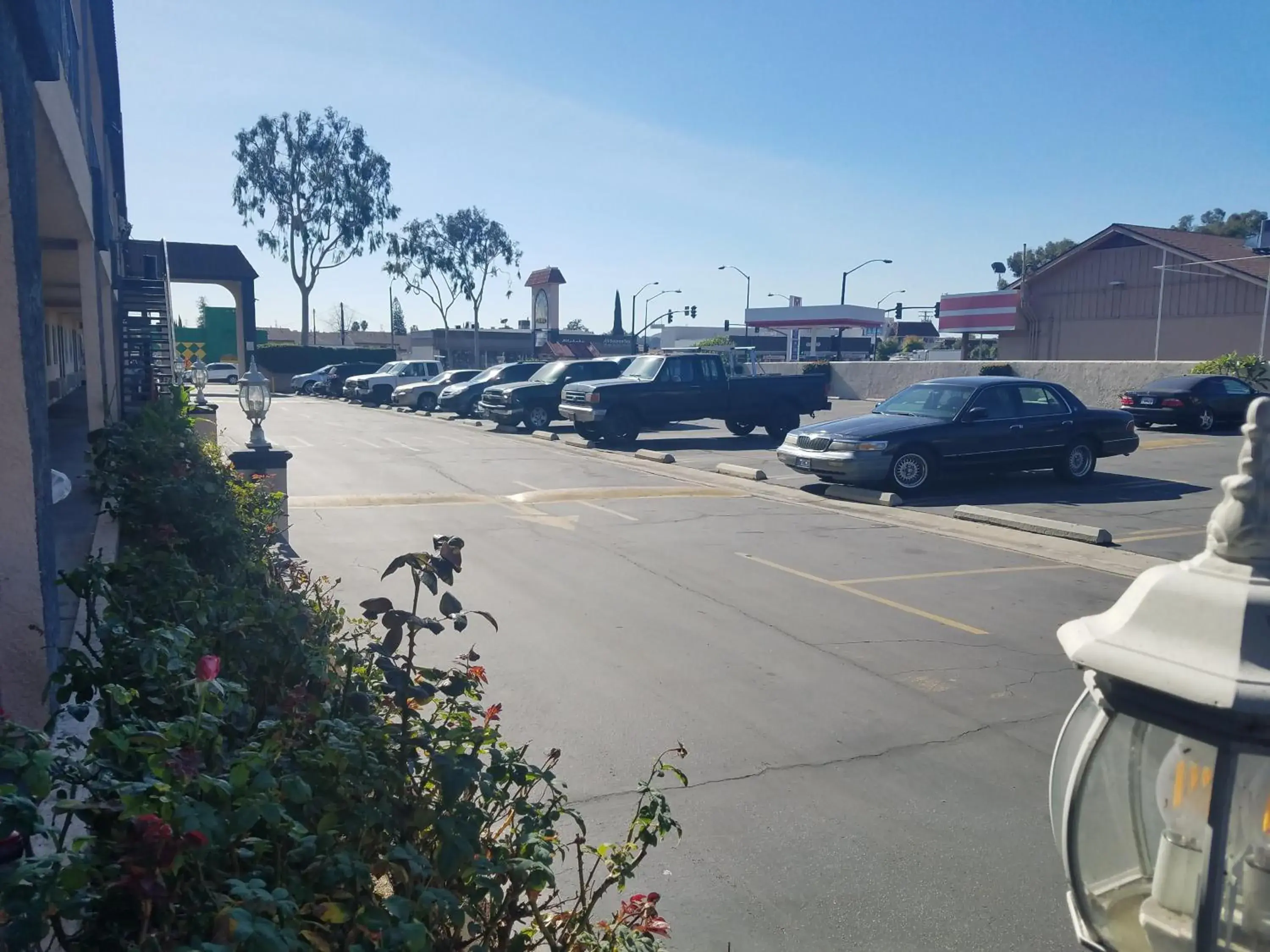 Flamingo Inn Flamingo Inn