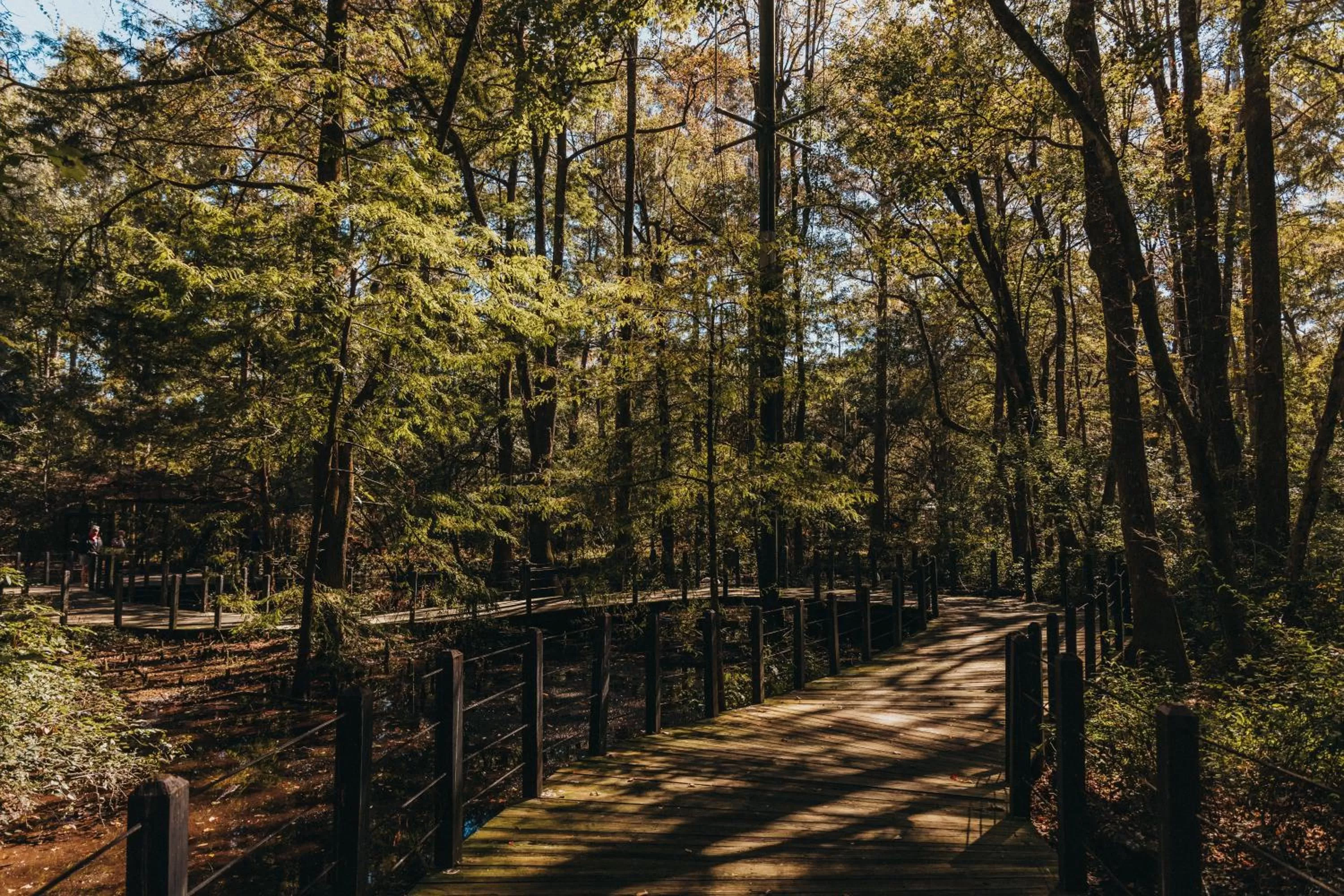 Nearby landmark, Winter in Sandcastle Oceanfront Resort South Beach