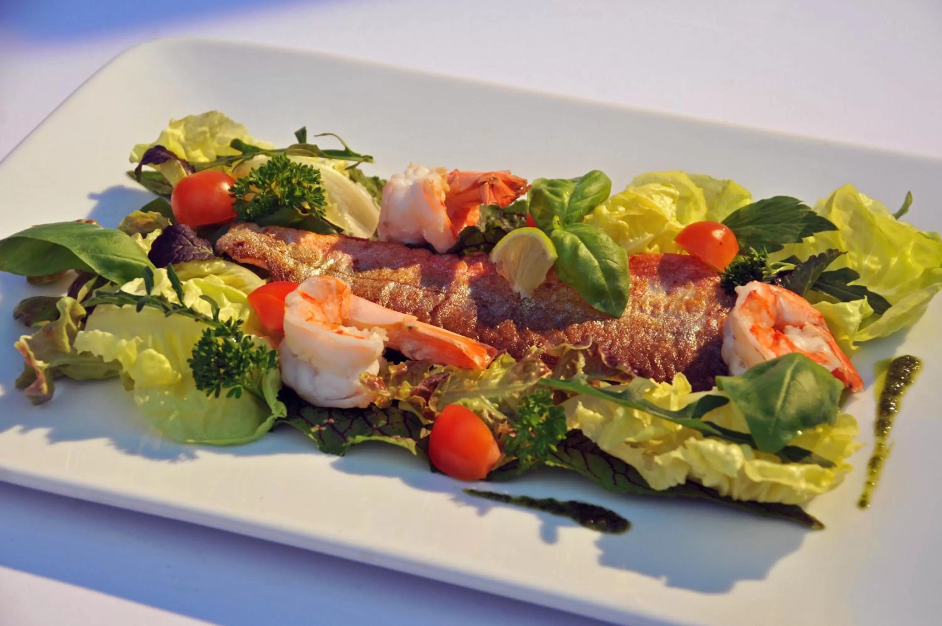 Food close-up, Food in Apparthotel Restaurant Steiners