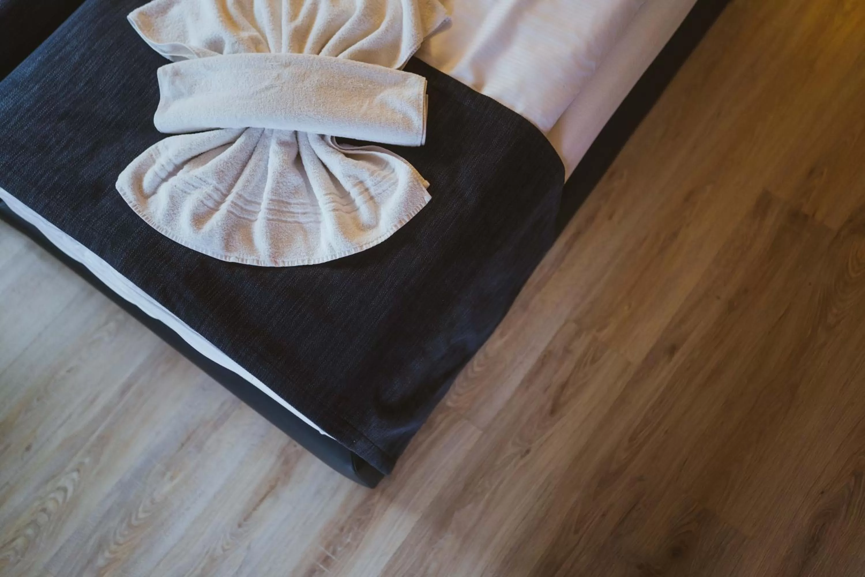 towels in Aparthotel Stralsund Studios und Apartments