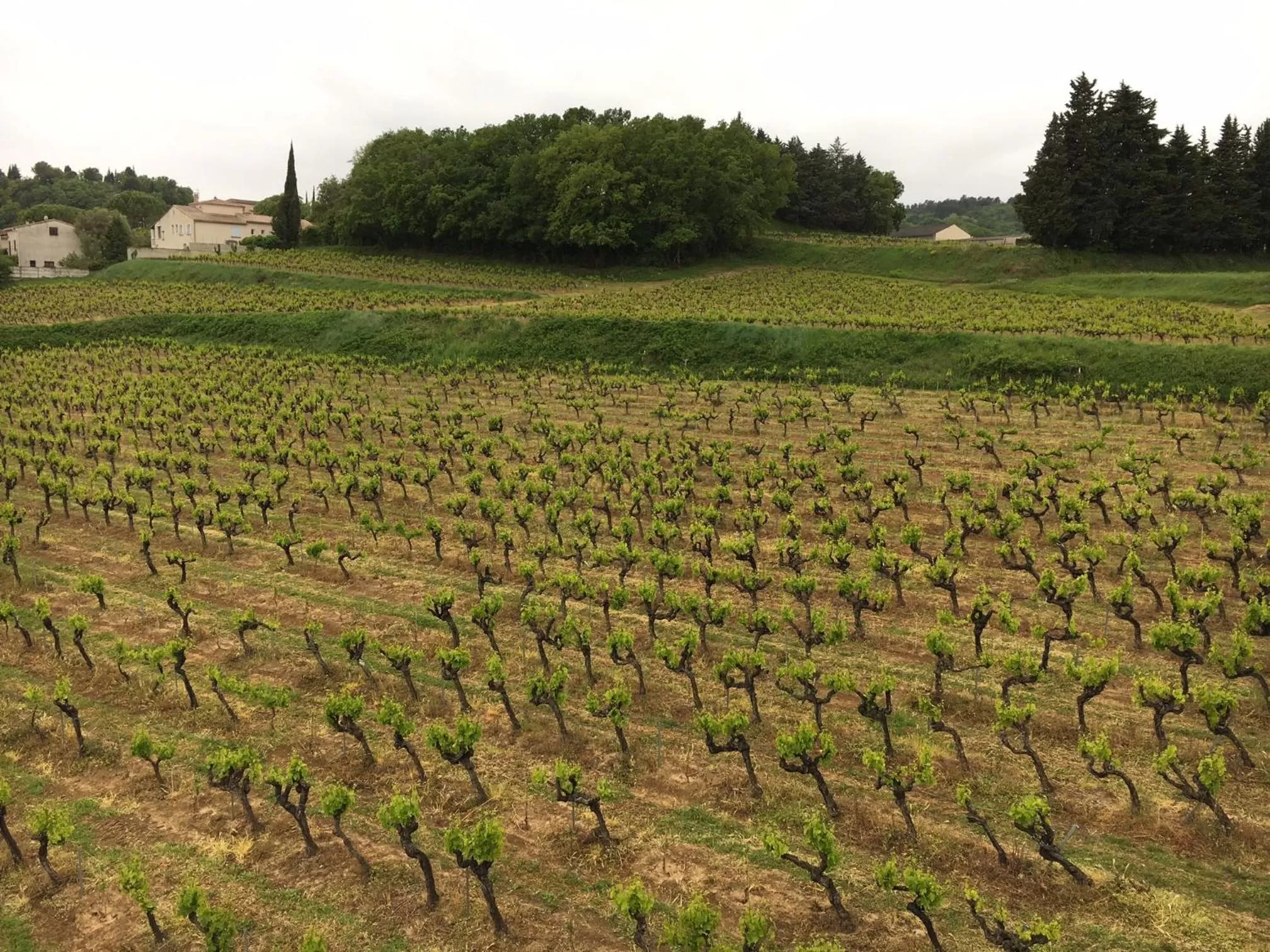 Natural landscape in DOMAINE FORVENT