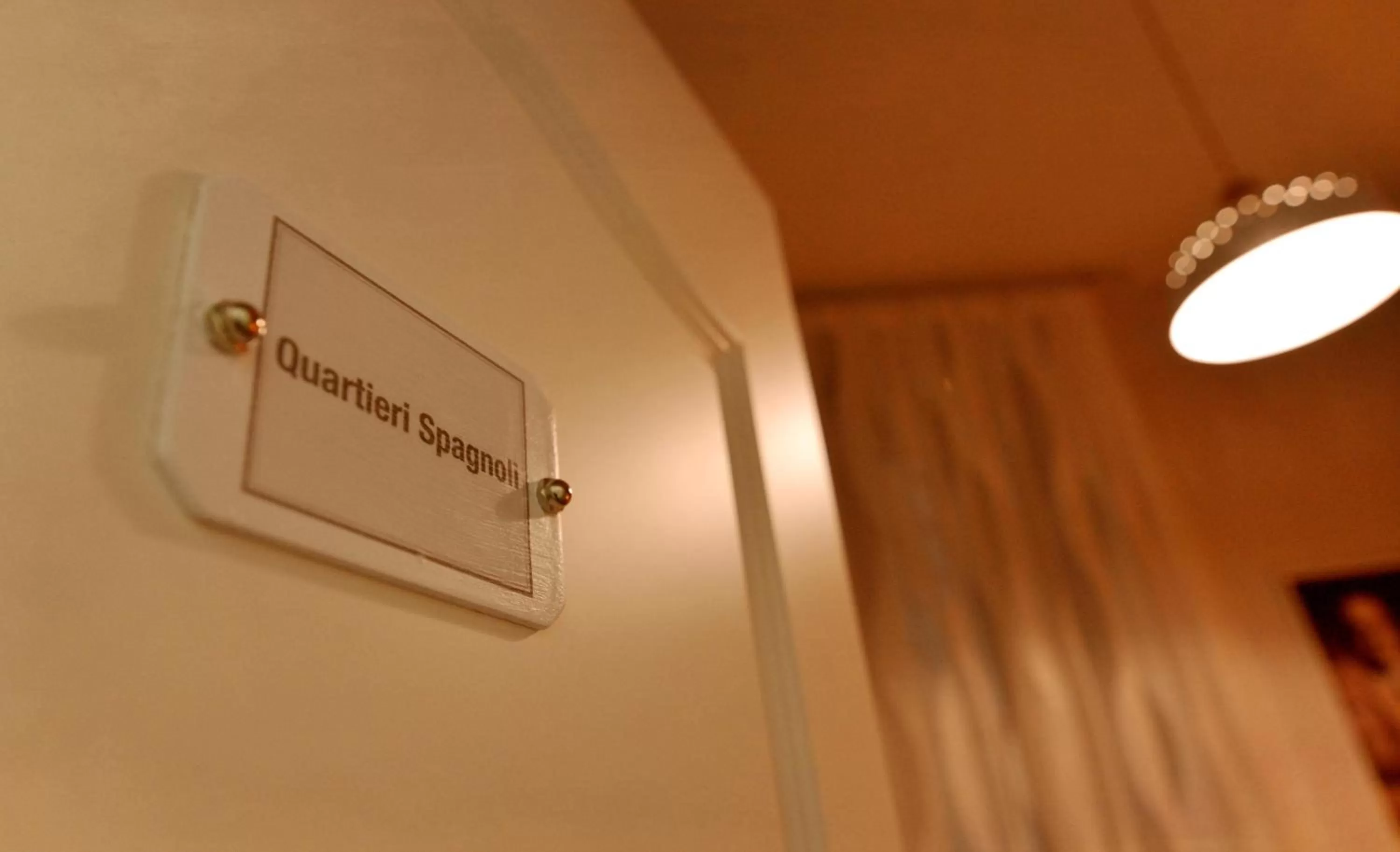 Logo/Certificate/Sign in Chiaia Roof