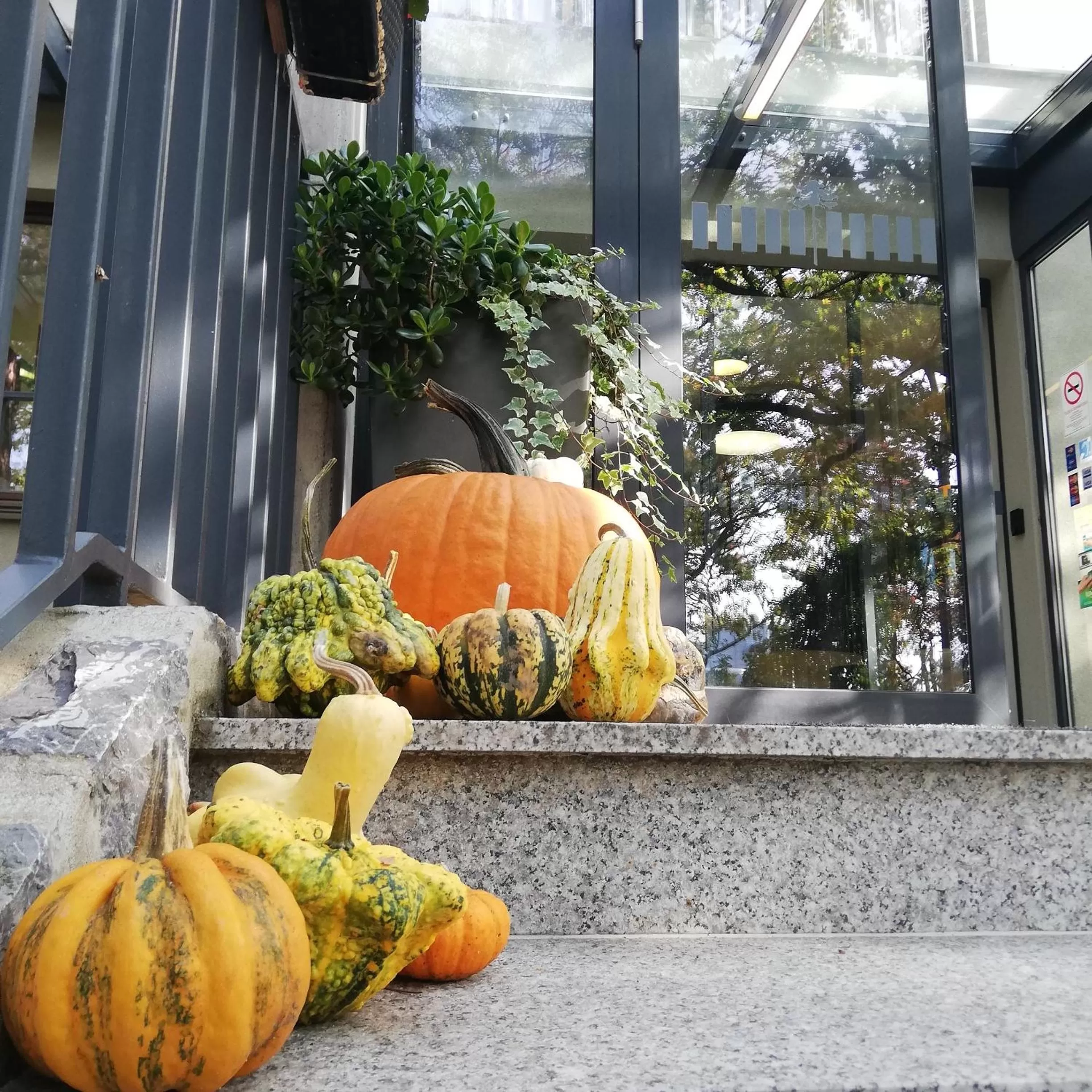 Facade/entrance in Hotel Therapia