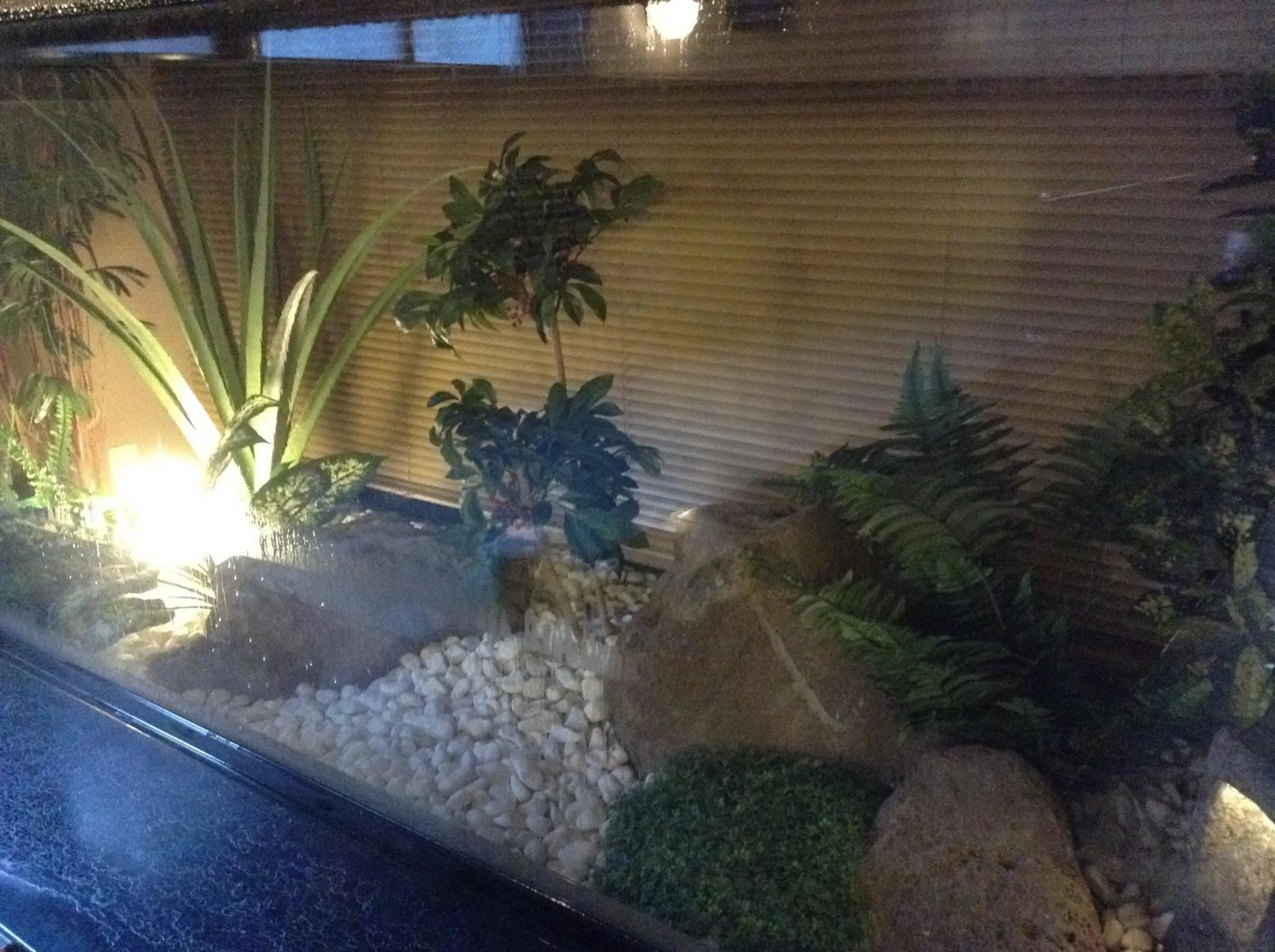 Garden view in Matsumoto Tourist Hotel