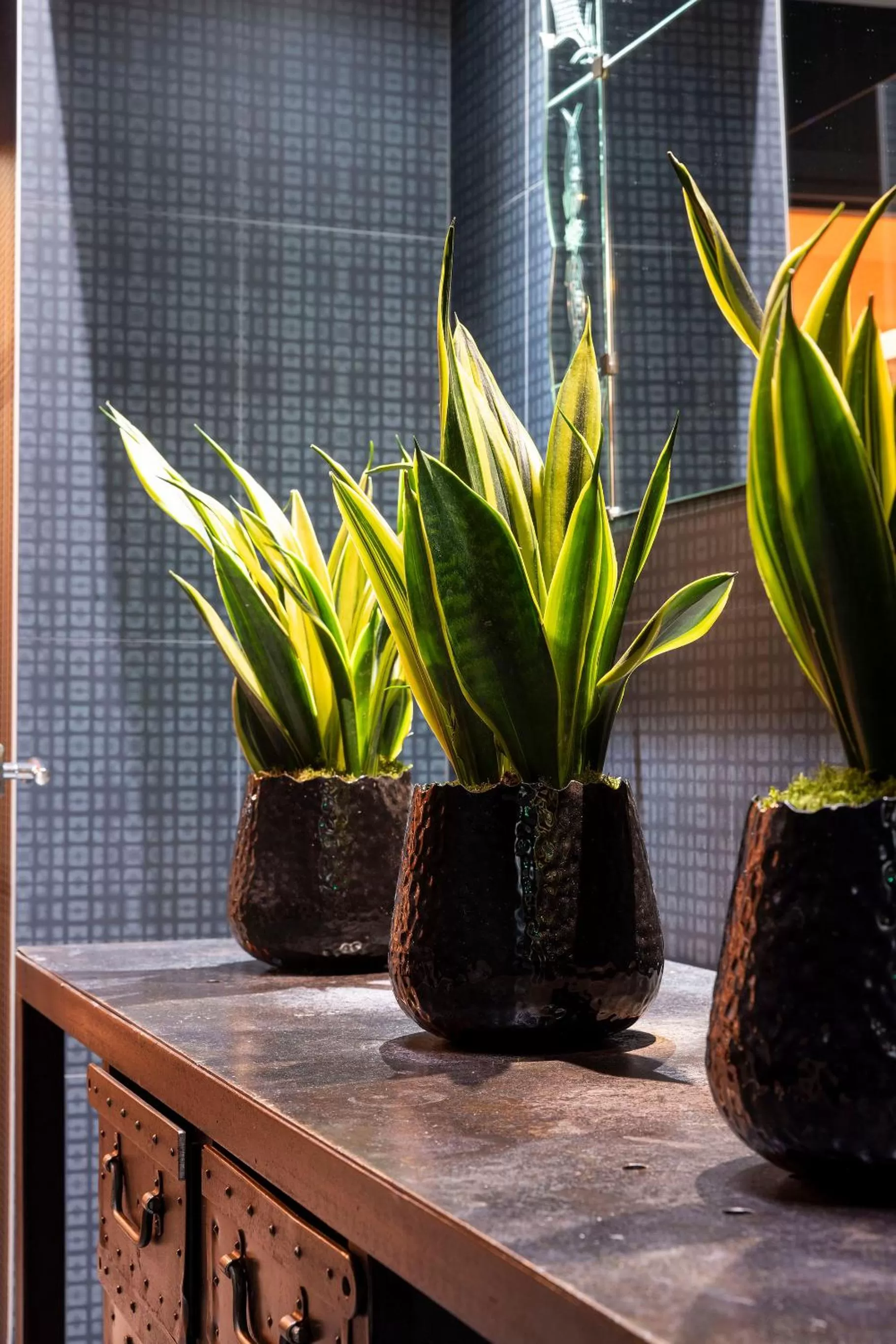 Decorative detail in Hôtel Fabric