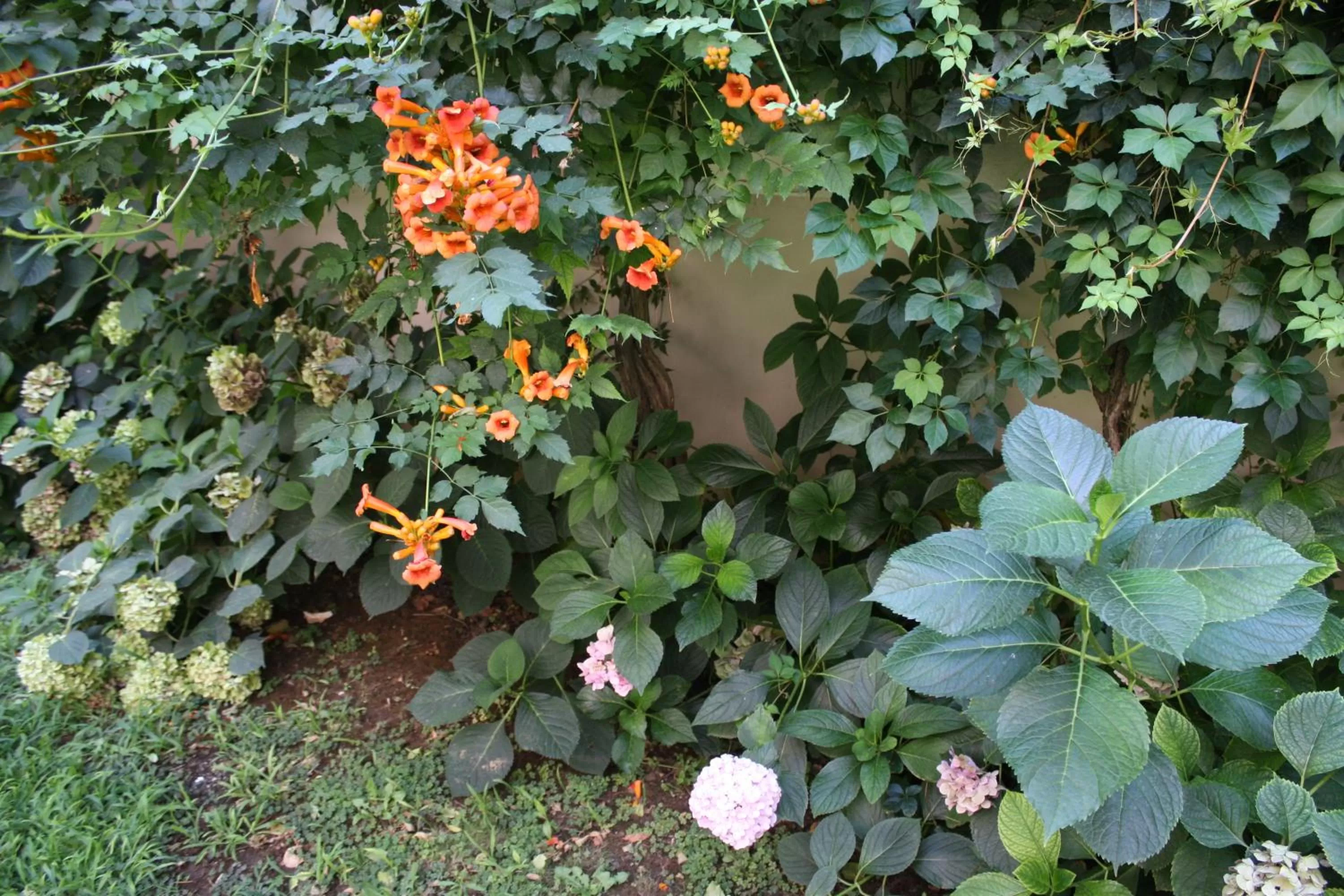 Garden in Orçin Apart Hotel