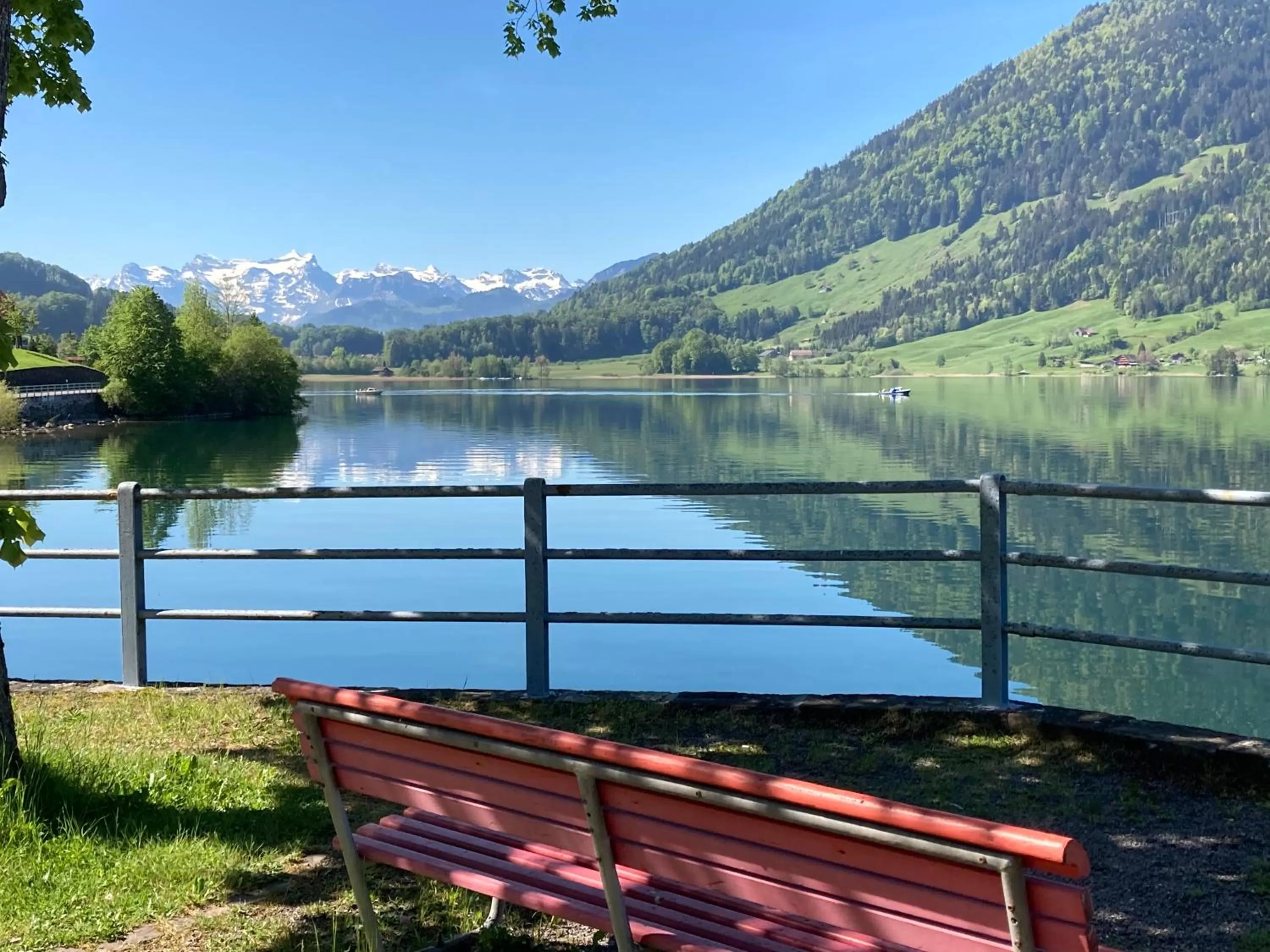 Lake view in SeminarHotel am Ägerisee