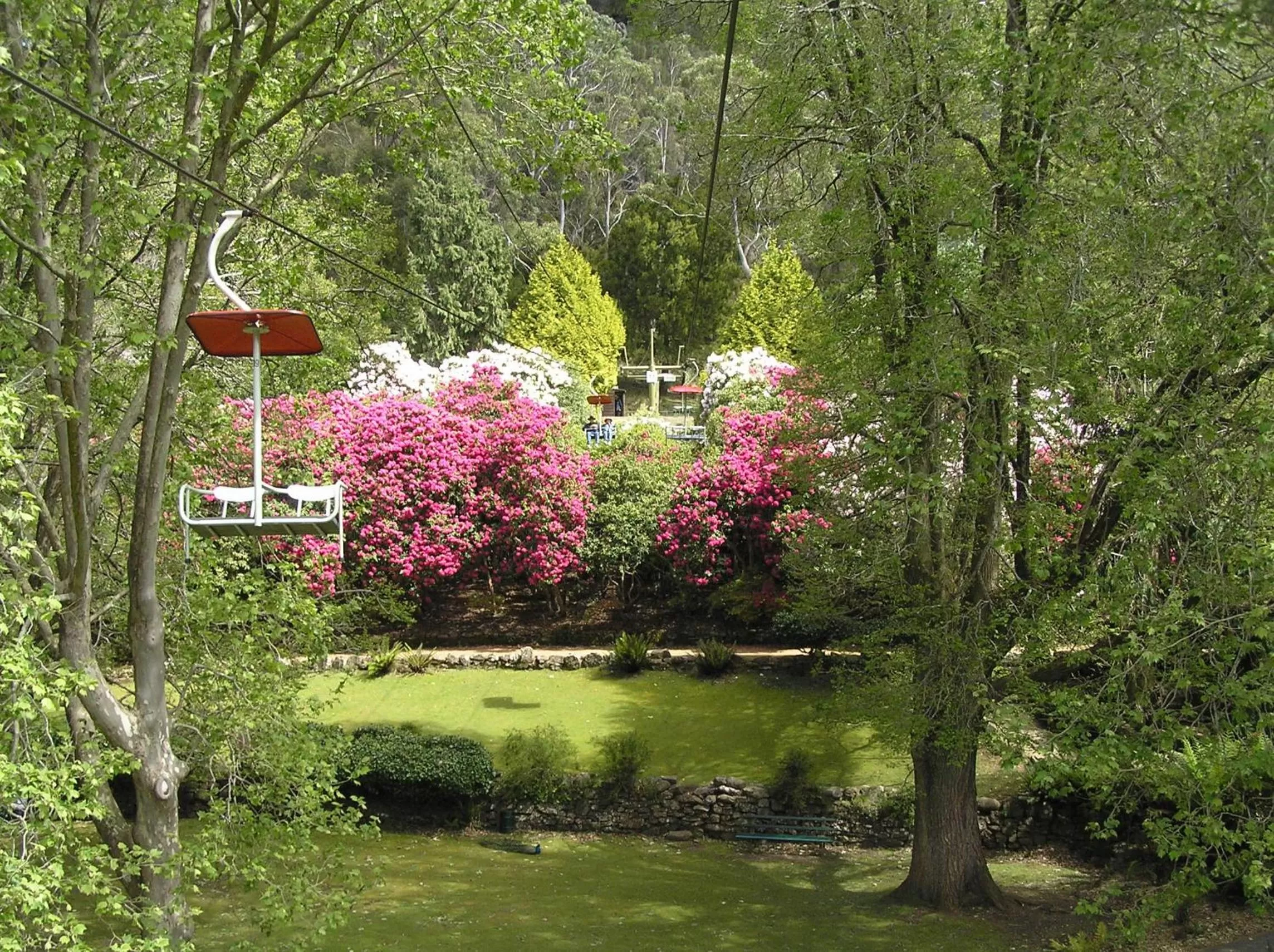 Day in Auldington Hotel